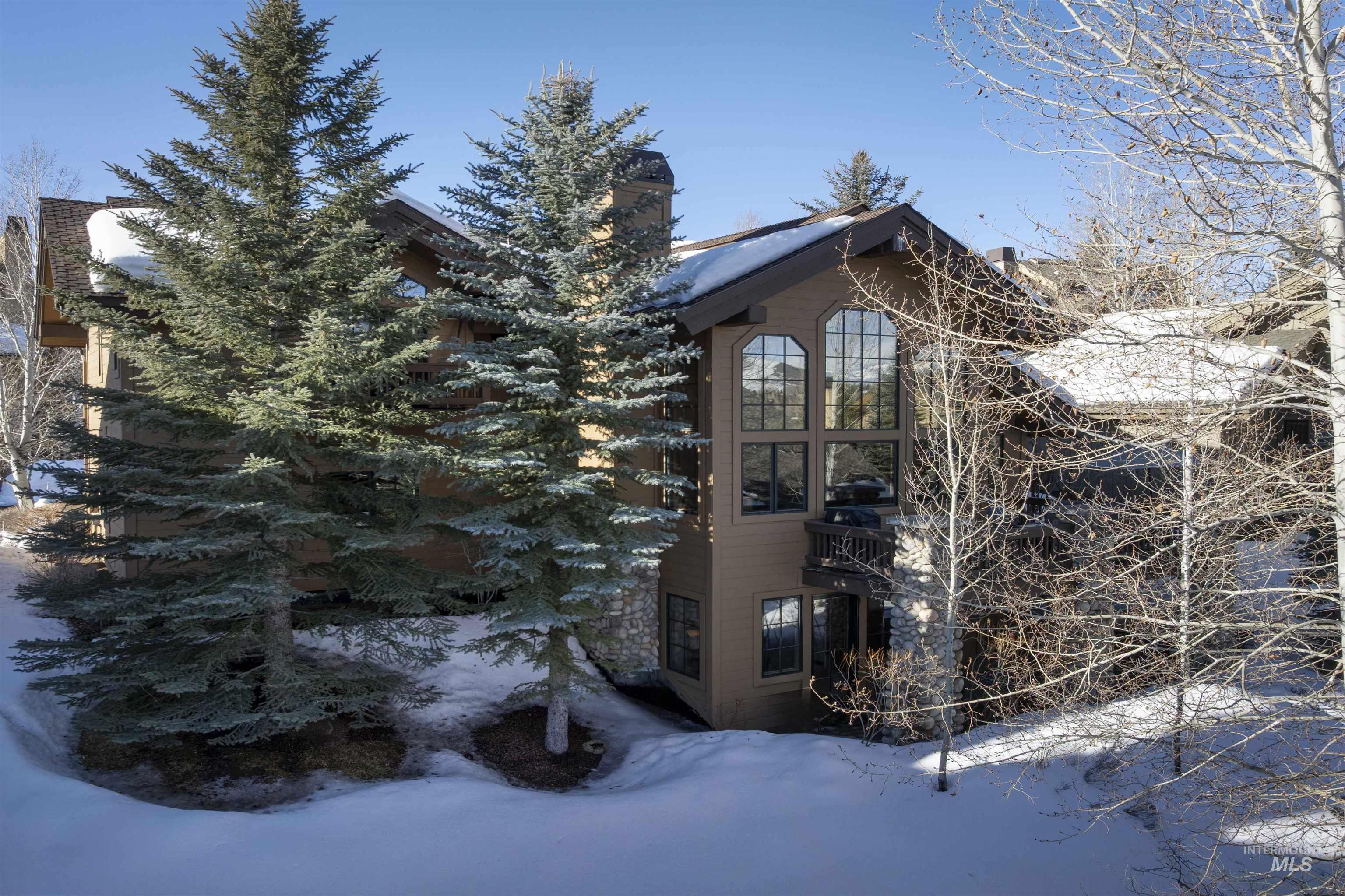 6 Coyote Court