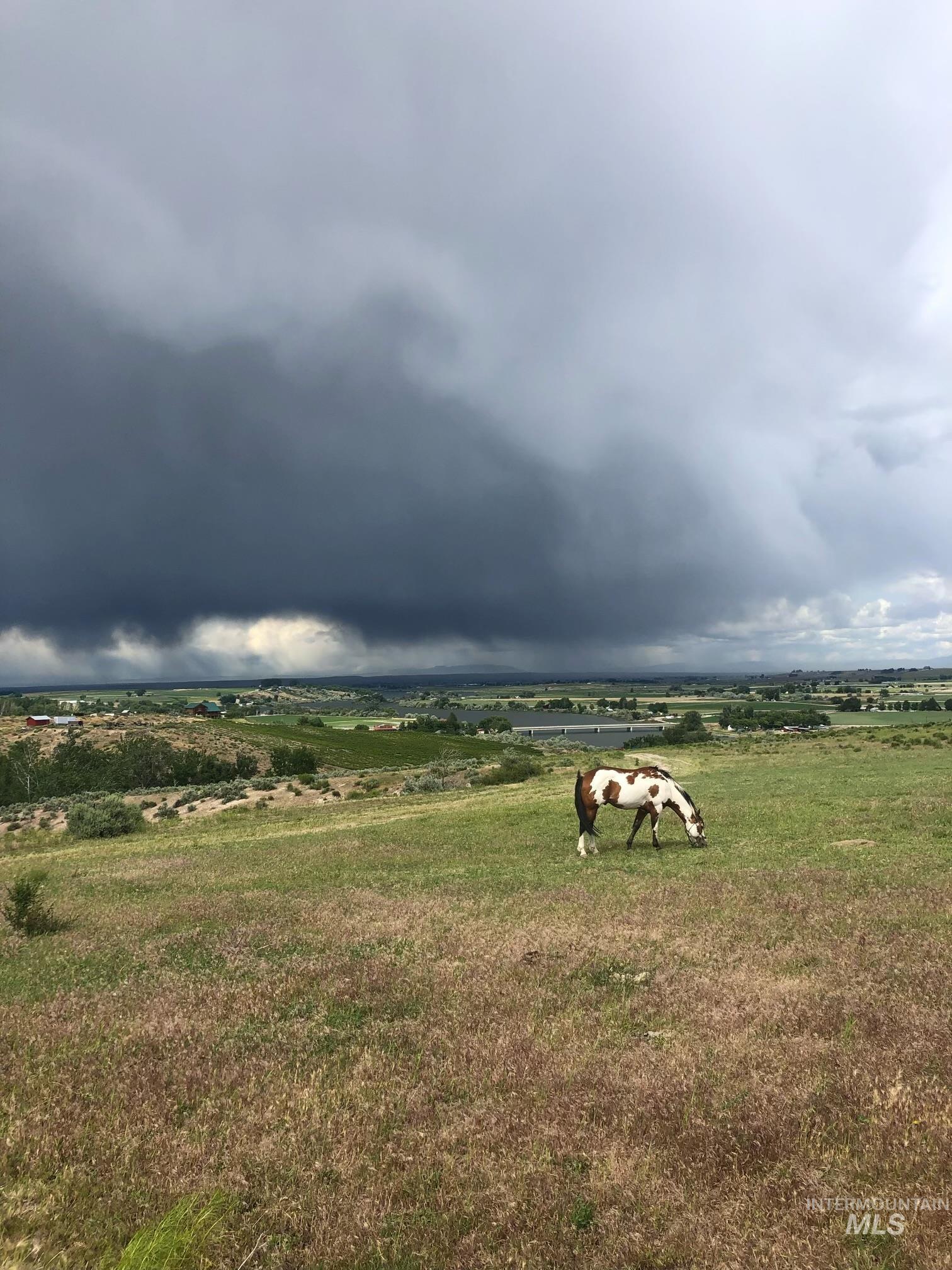 Adrian, Oregon 97901, United States, ,Land,Active,184749