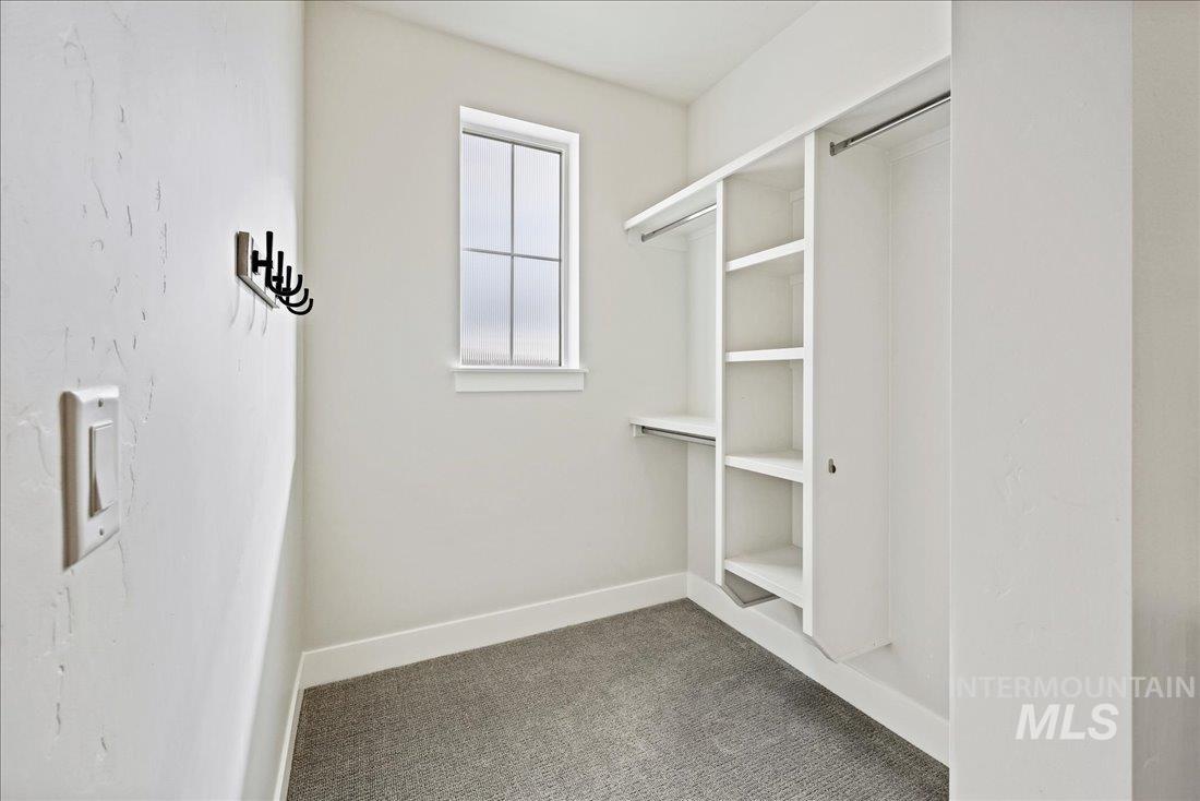 Walk in closet with carpet