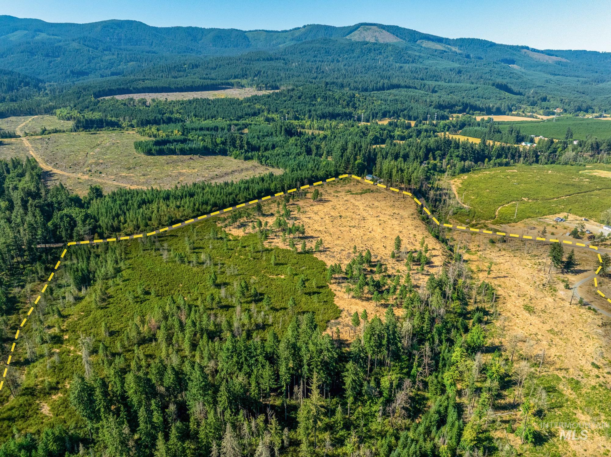 Aerial view of property's location with property parcel outlined and a mountain backdrop
