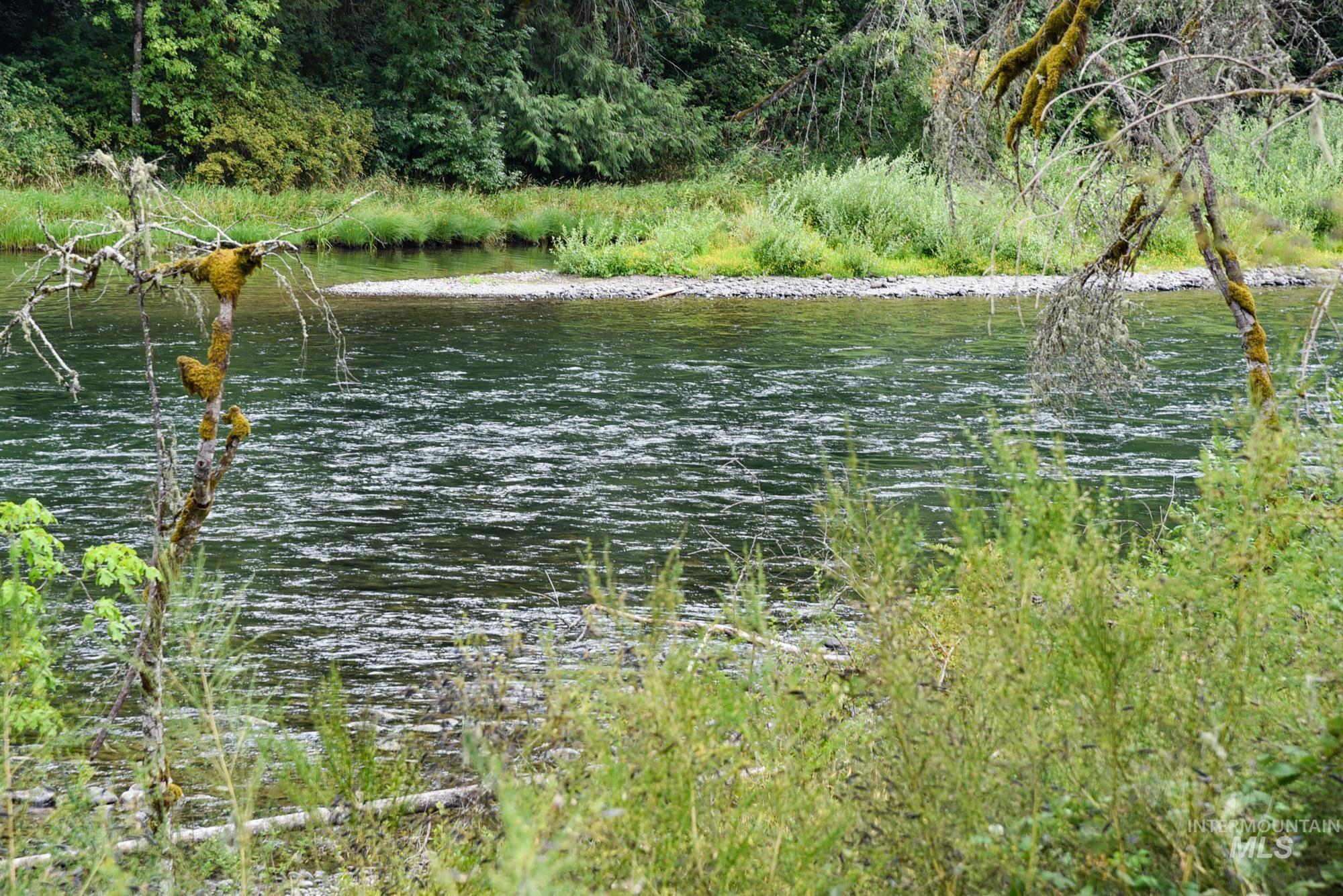 Water view featuring a heavily wooded area