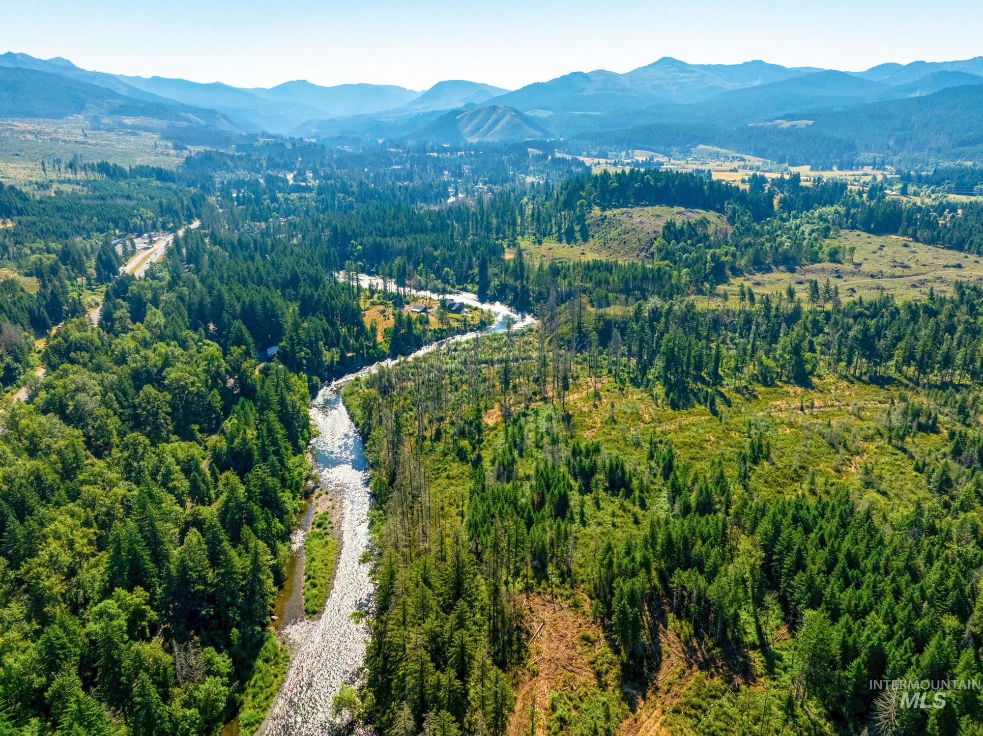 Aerial view of a heavily wooded area and a mountain backdrop