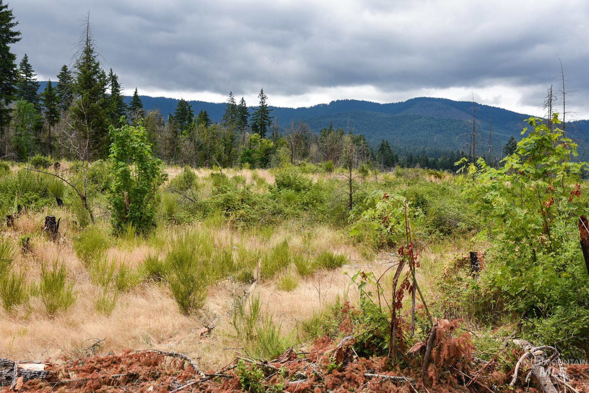 View of mountain background