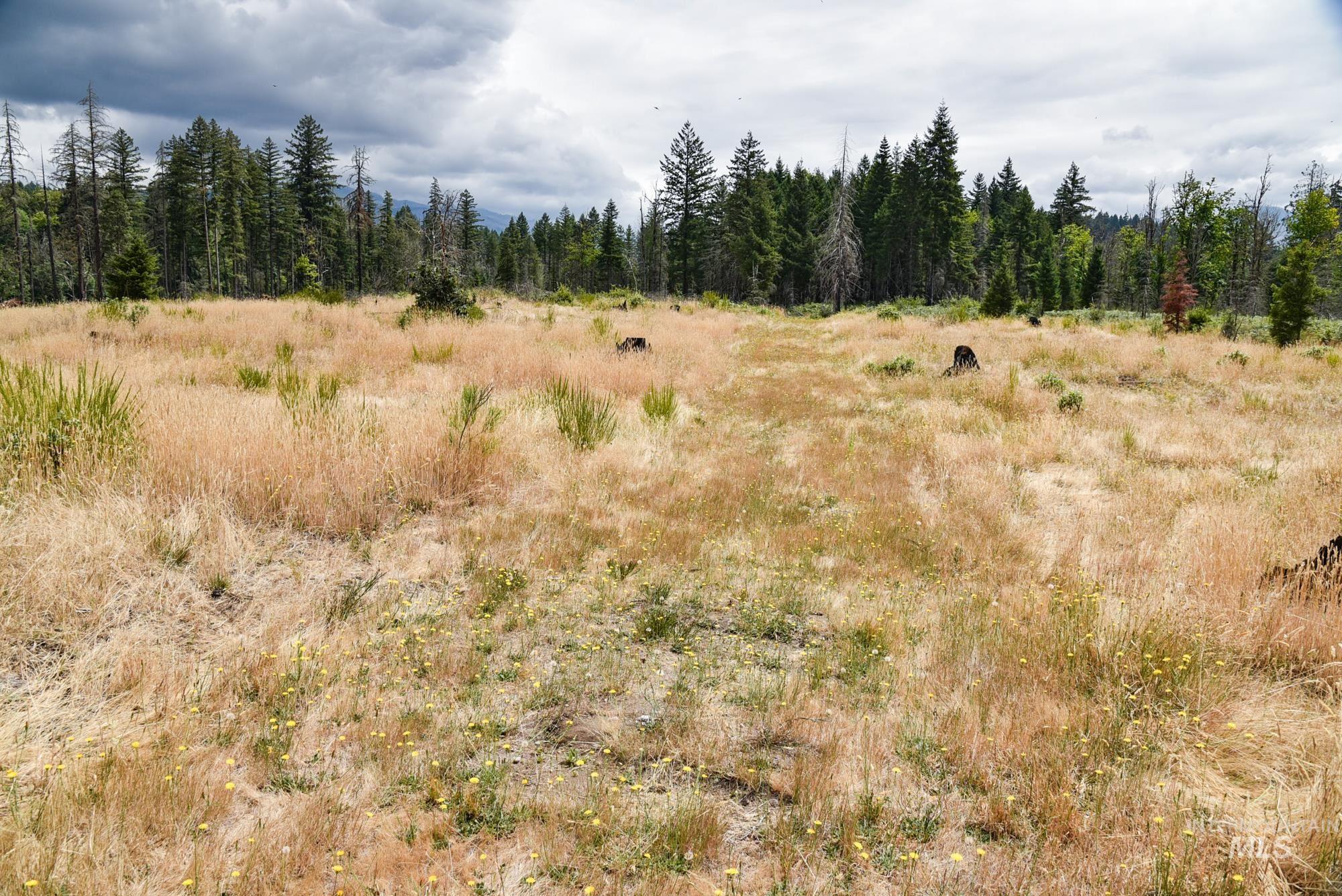 View of woods with a rural view