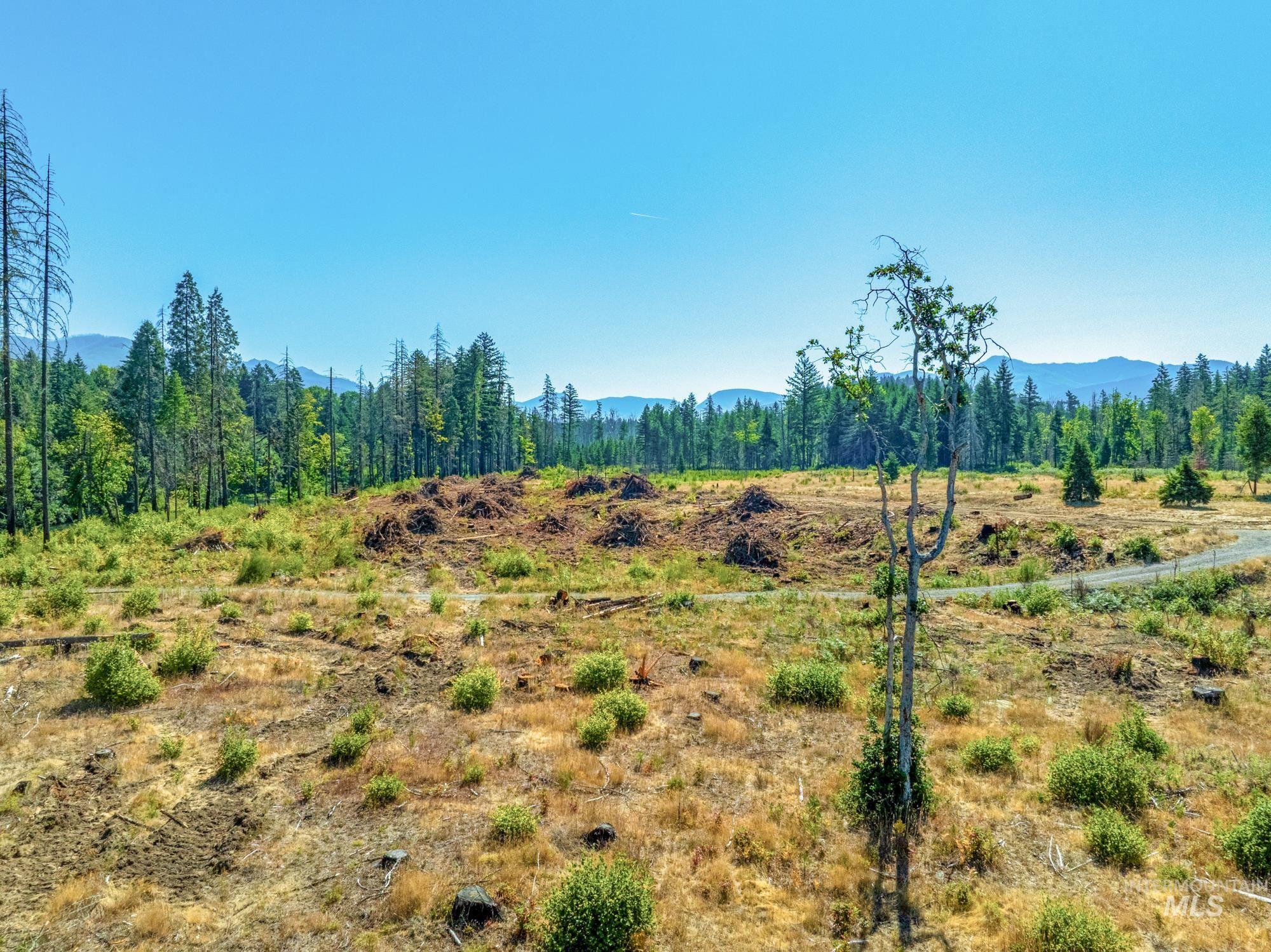 View of local wilderness featuring rural landscape and a mountain backdrop