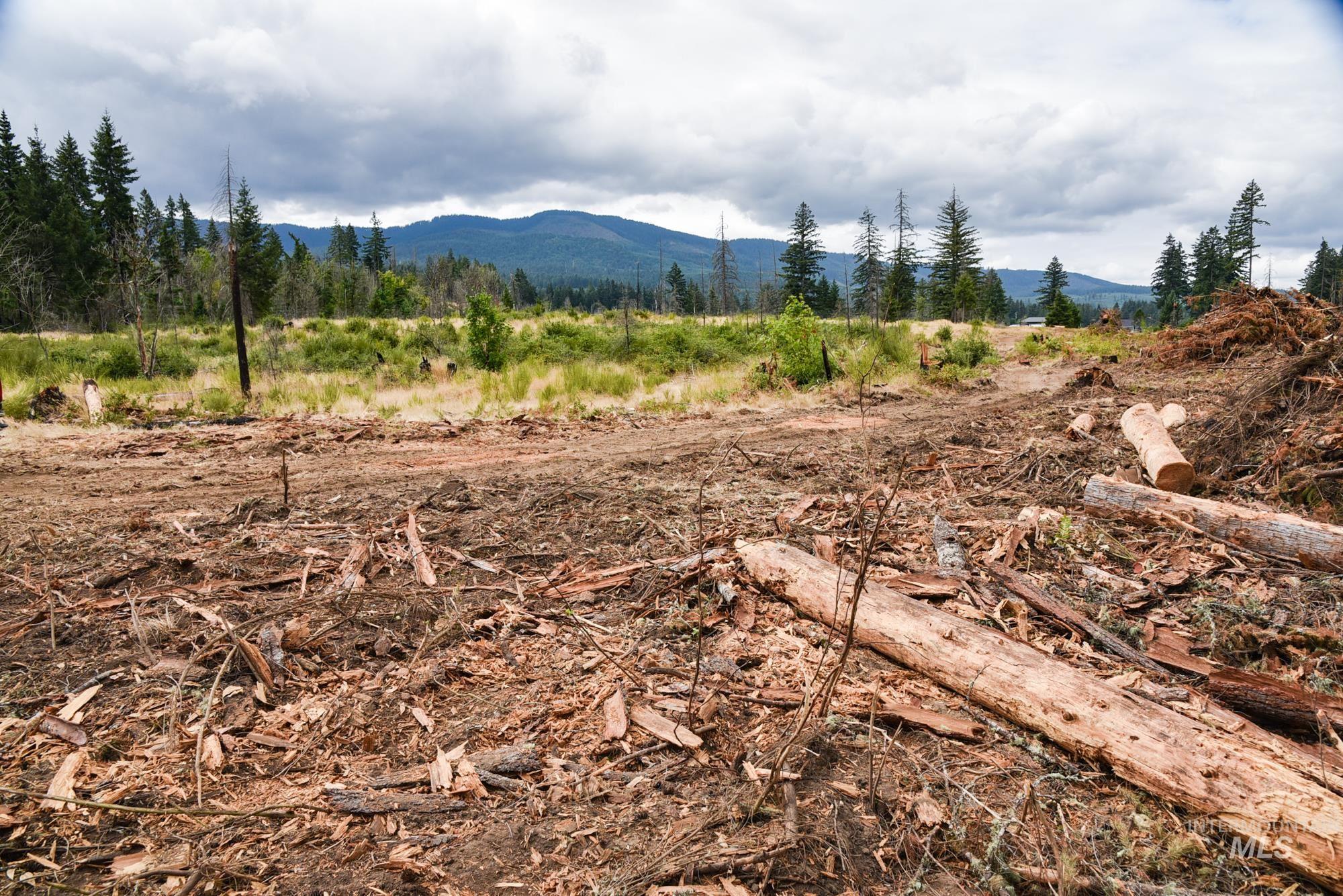 Mountain view featuring rural landscape