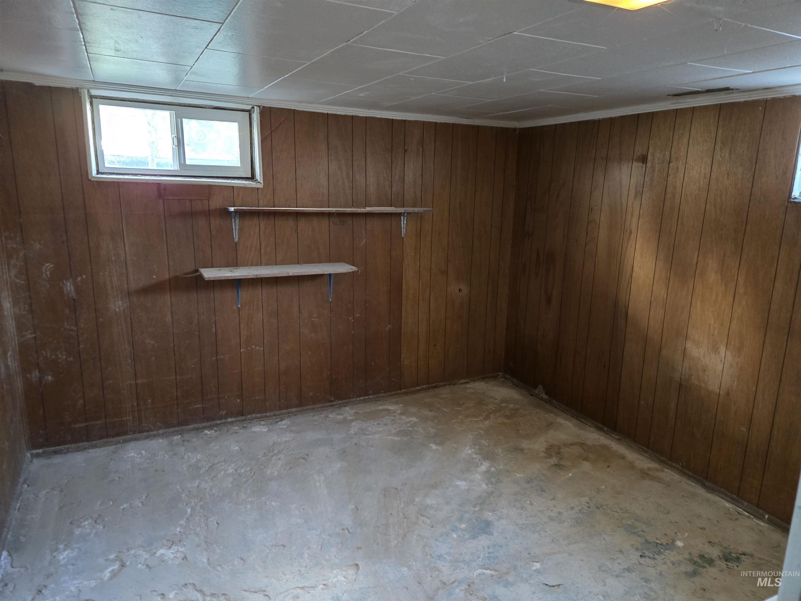 Basement with wooden walls