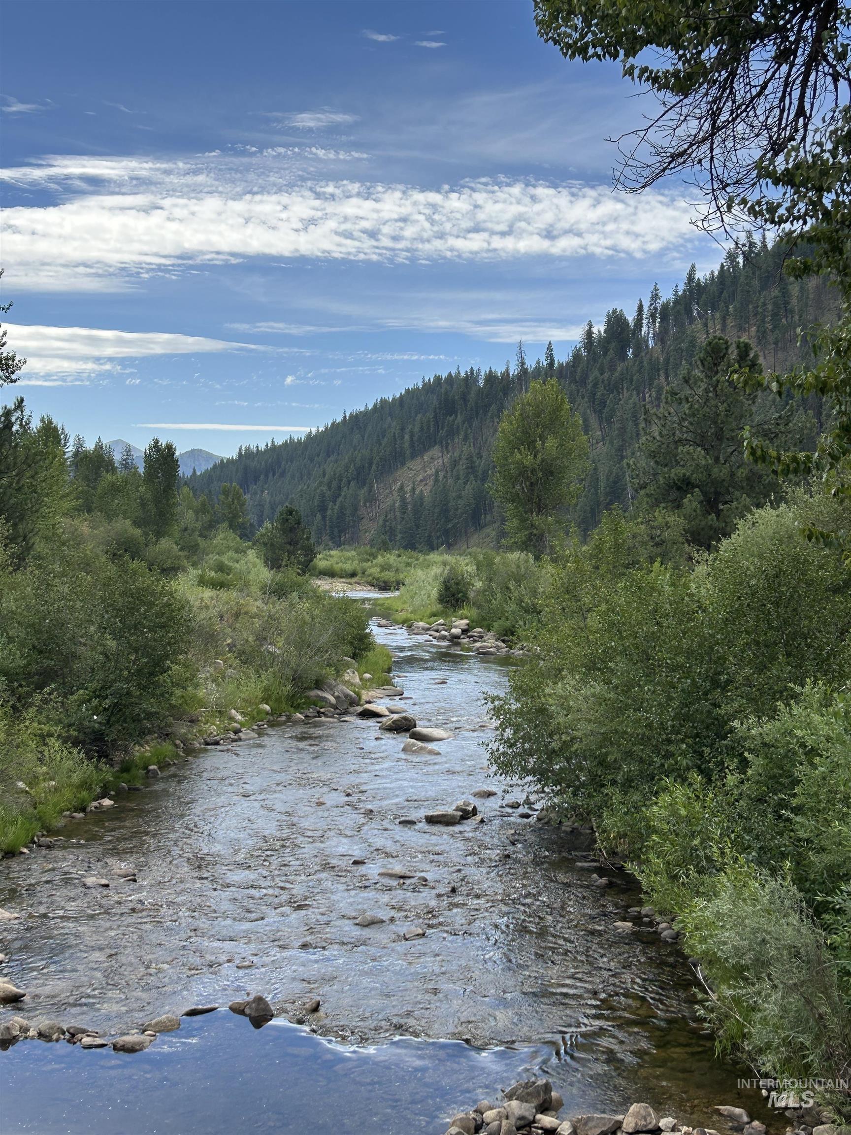 Water view with a forest