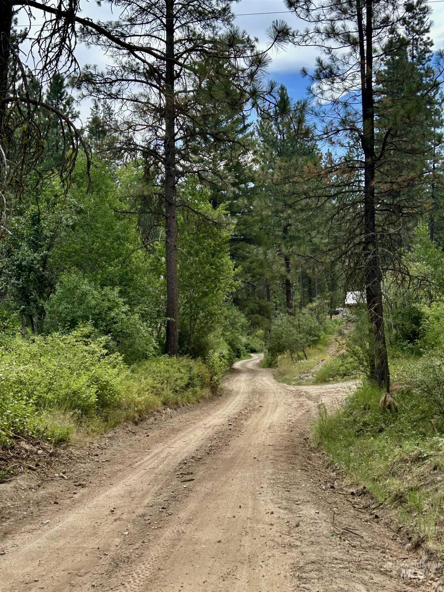 View of dirt / gravel road featuring a wooded view
