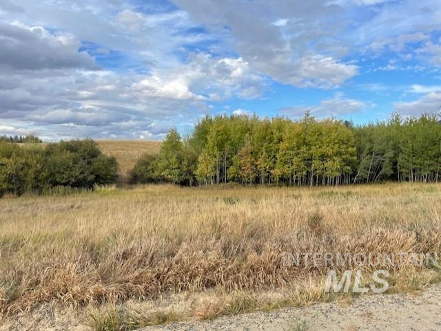 NKA Fox Road 150 Acres