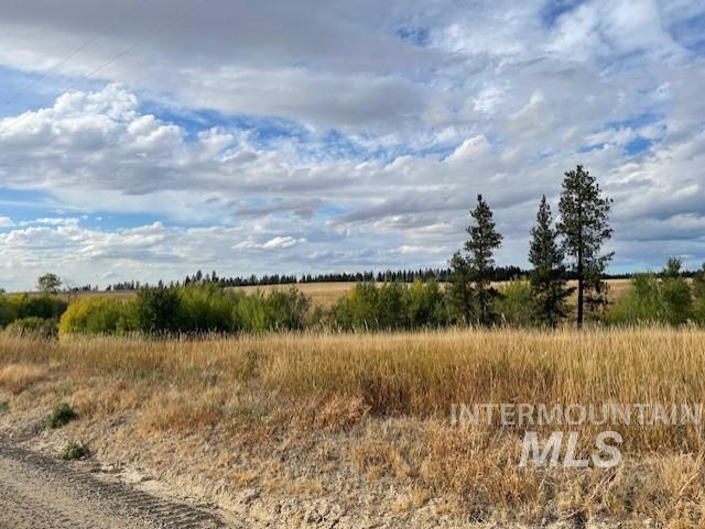 NKA Fox Road 150 Acres