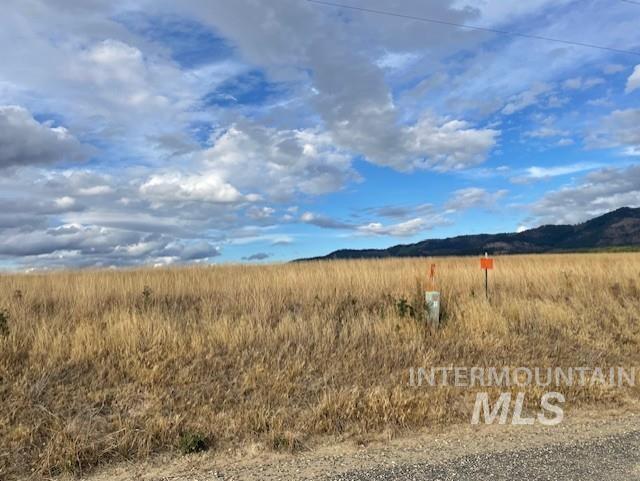 NKA Fox Road 150 Acres