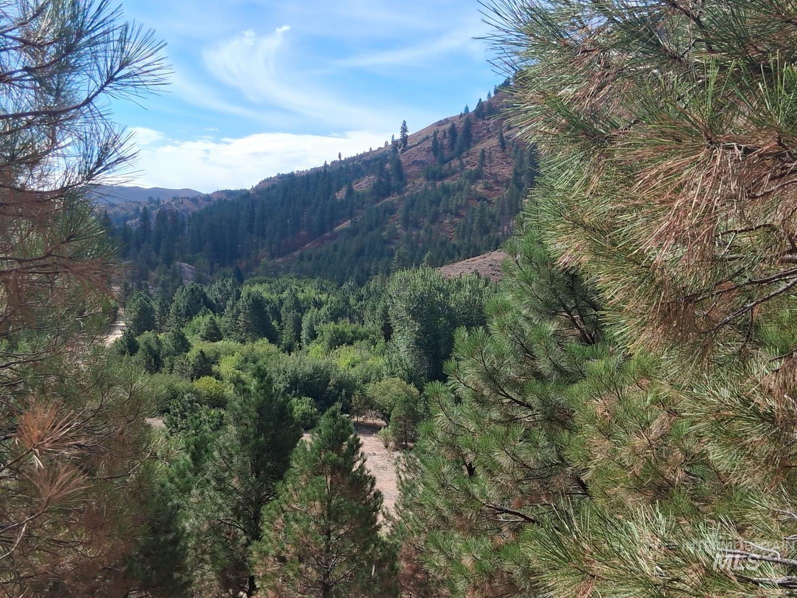 Lot 14 Long Gulch