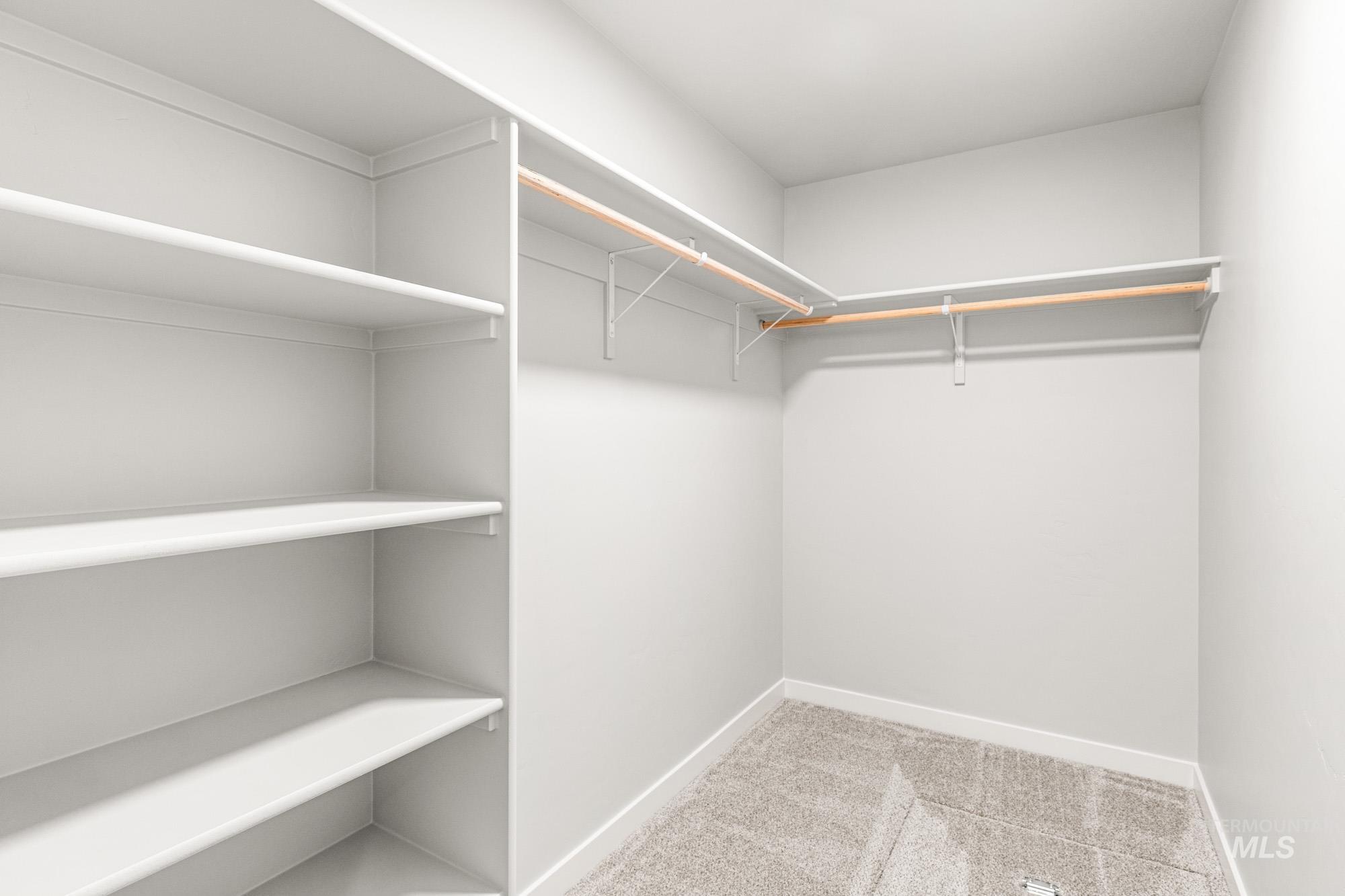 Walk in closet with light colored carpet