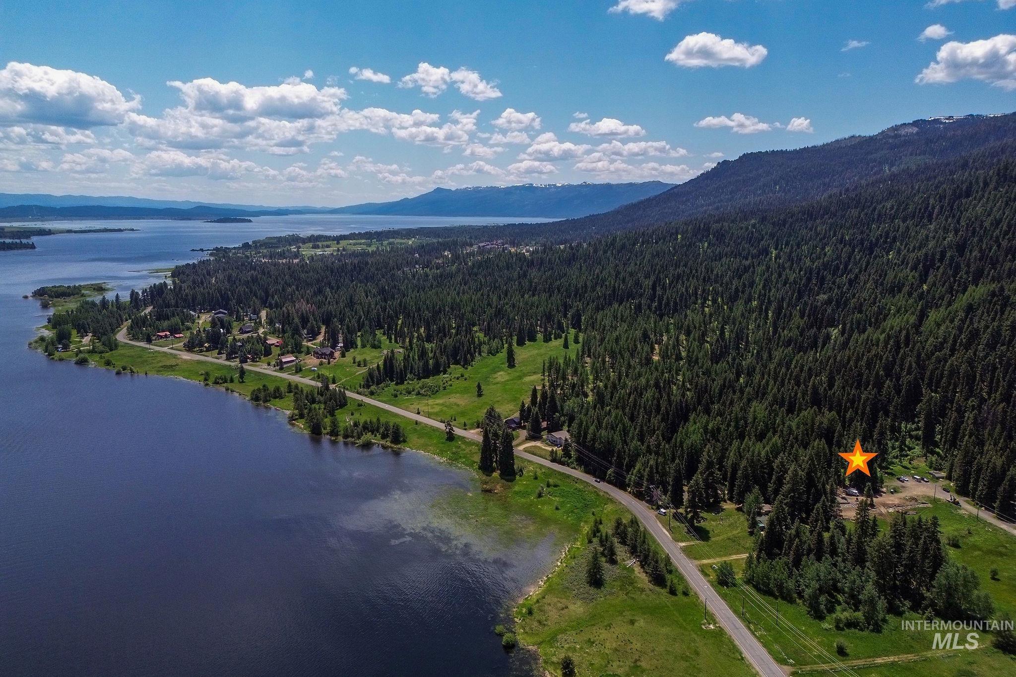 Aerial view of a forest and a water and mountain view