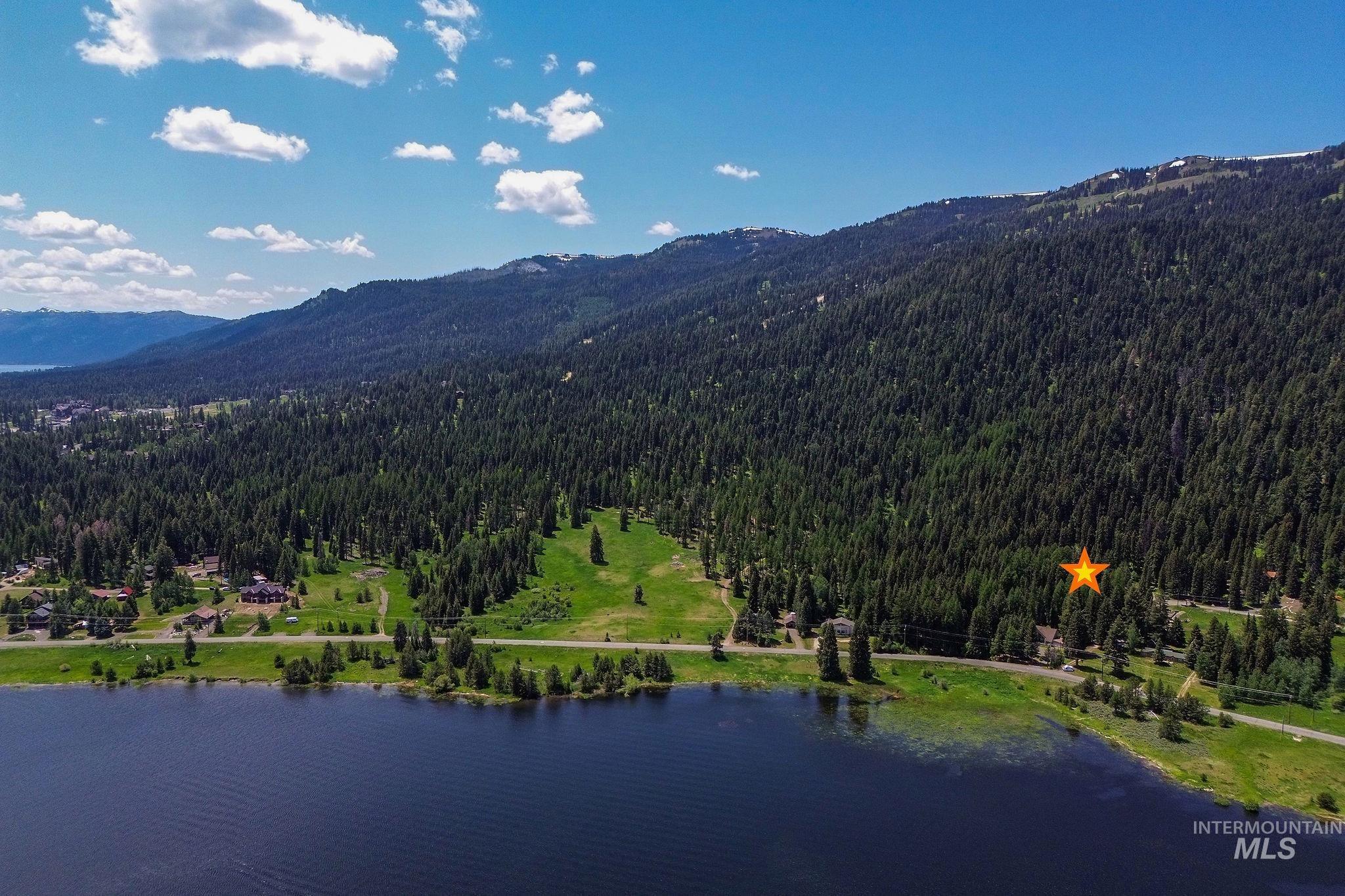 Drone / aerial view of a forest and a water and mountain view