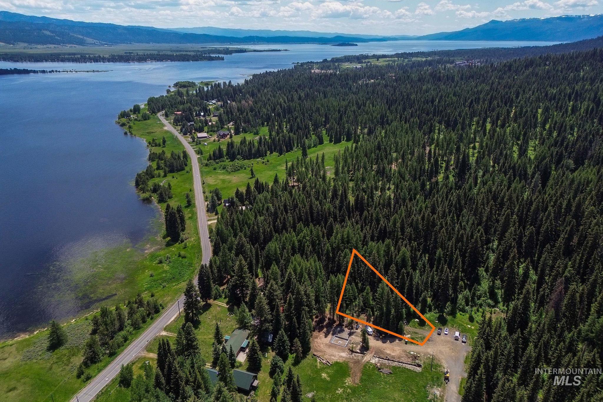 Bird's eye view of a forest and a water and mountain view