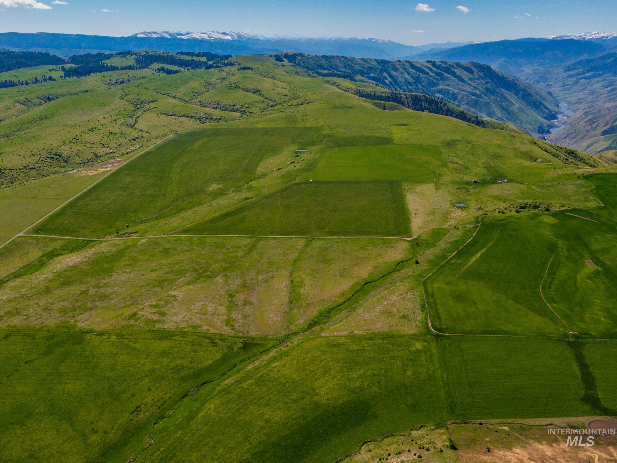 Wildflower Parcel 2, Grangeville, Idaho image 6