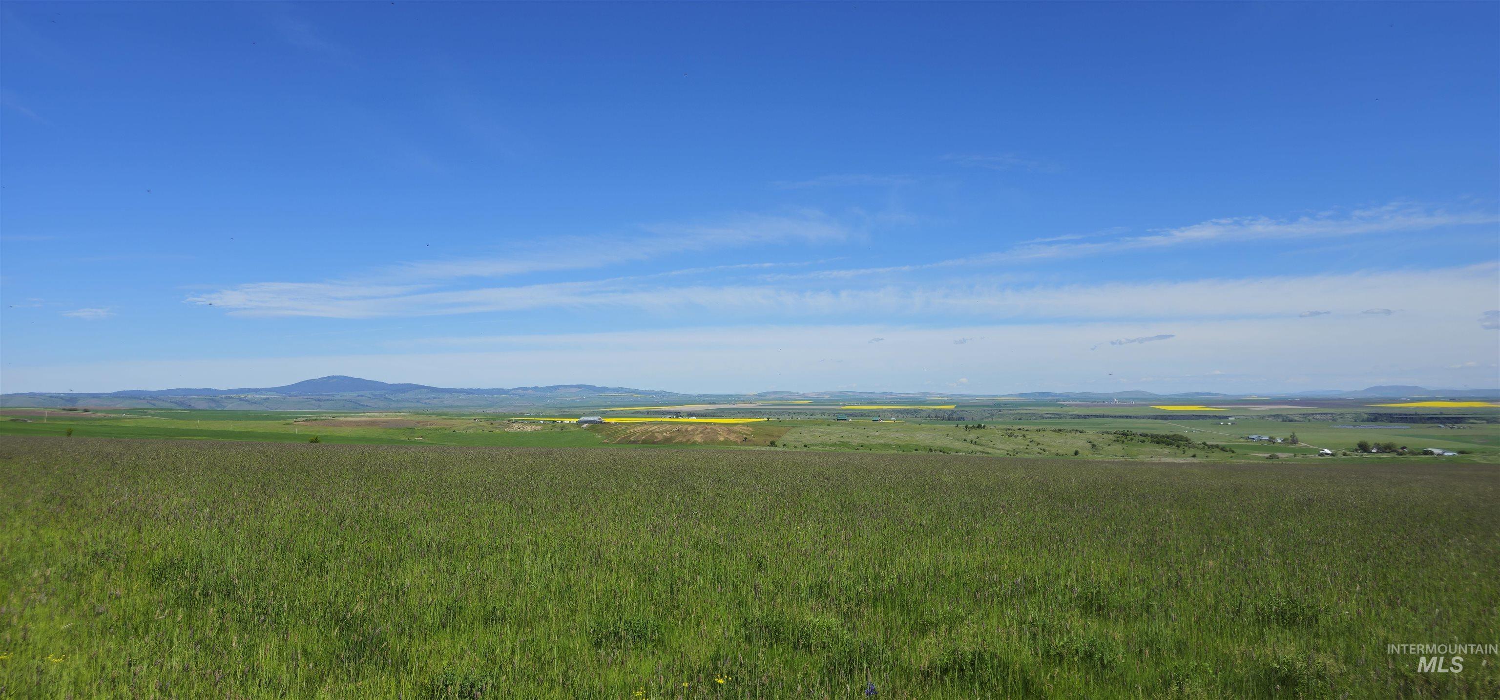 Wildflower Parcel 2, Grangeville, Idaho image 26