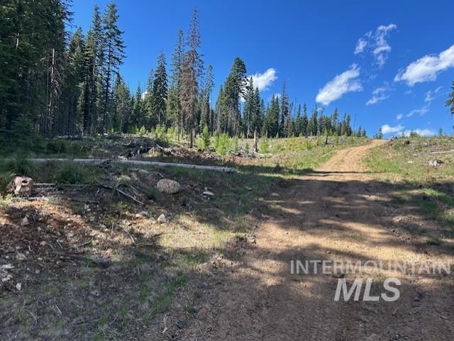 333 French Gulch Parcel 3, Elk City, Idaho image 4