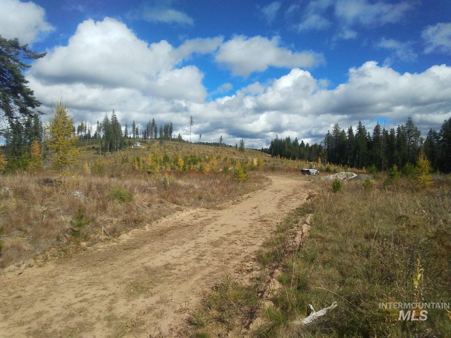 333 French Gulch Parcel 3, Elk City, Idaho image 37