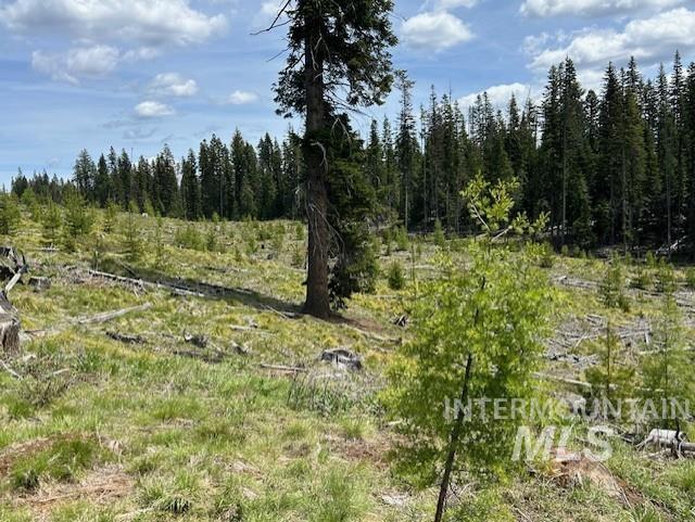 333 French Gulch Parcel 3, Elk City, Idaho image 42