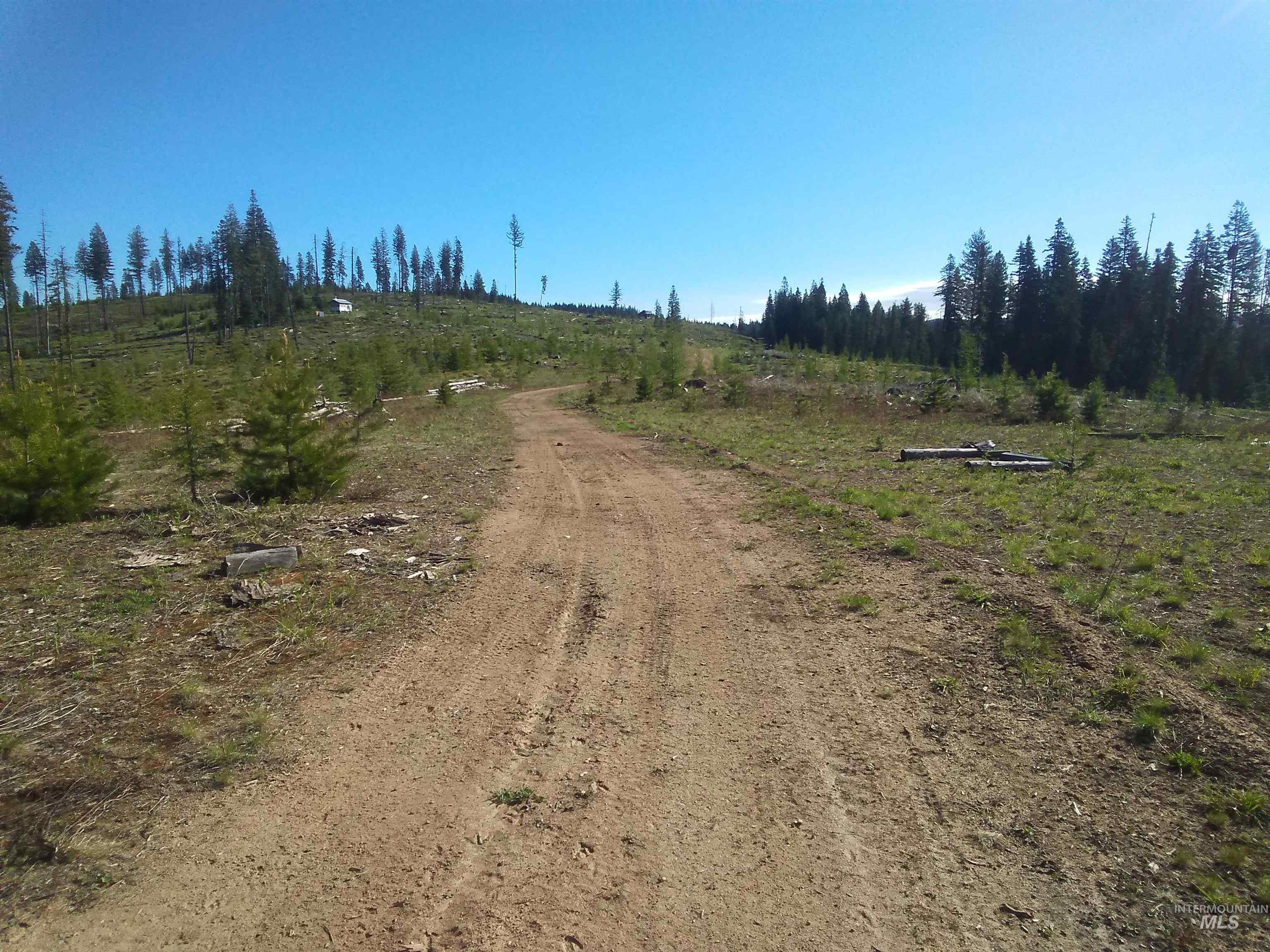 333 French Gulch Parcel 3, Elk City, Idaho image 32