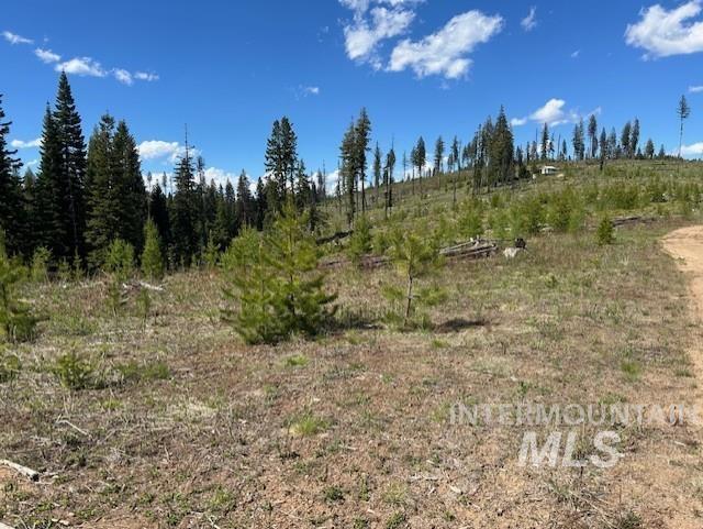 333 French Gulch Parcel 3, Elk City, Idaho image 11