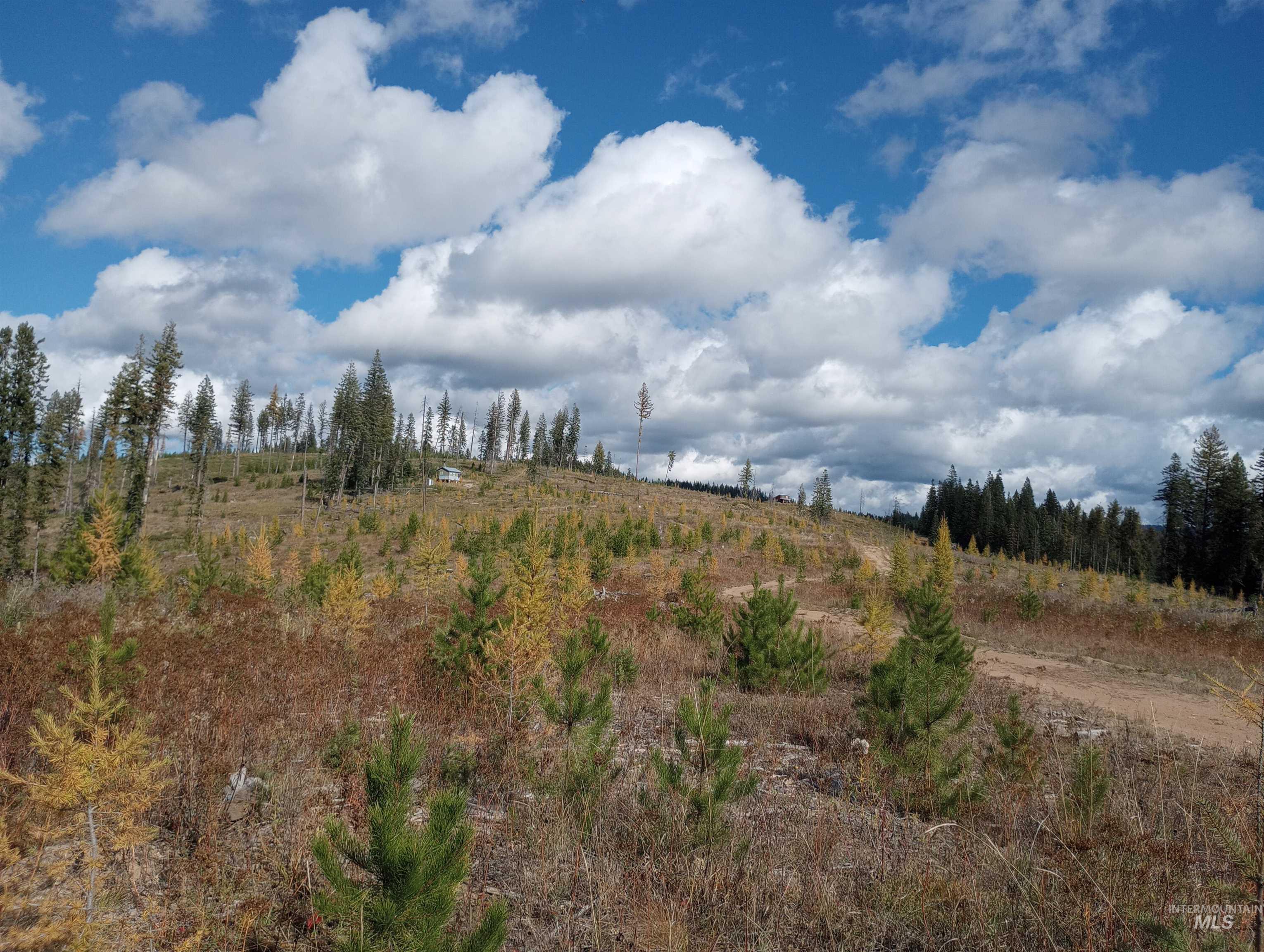 333 French Gulch Parcel 3, Elk City, Idaho image 25