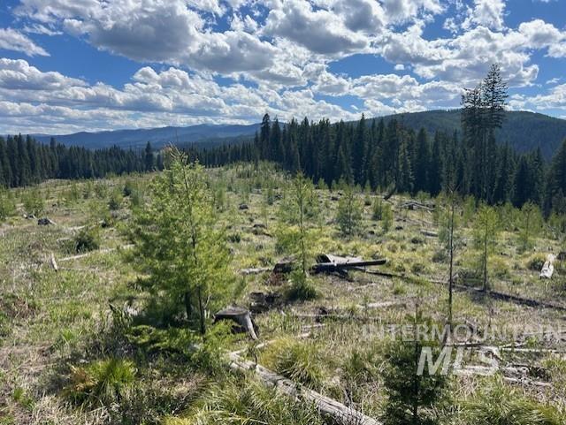 333 French Gulch Parcel 3, Elk City, Idaho image 1