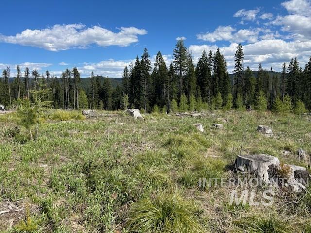 333 French Gulch Parcel 3, Elk City, Idaho image 19