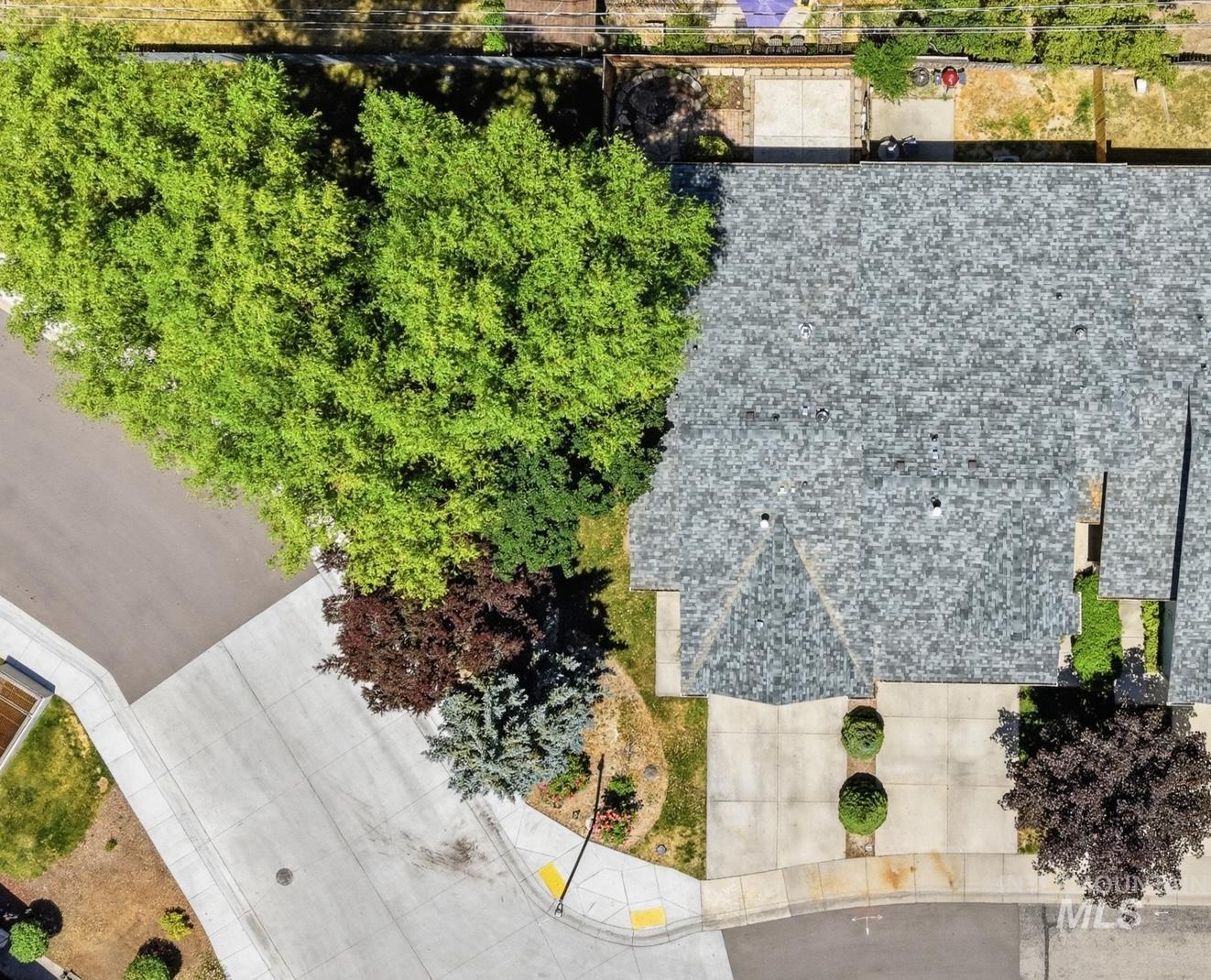 Aerial view of the property featuring a gray shingle roof, concrete driveway, and established landscaping