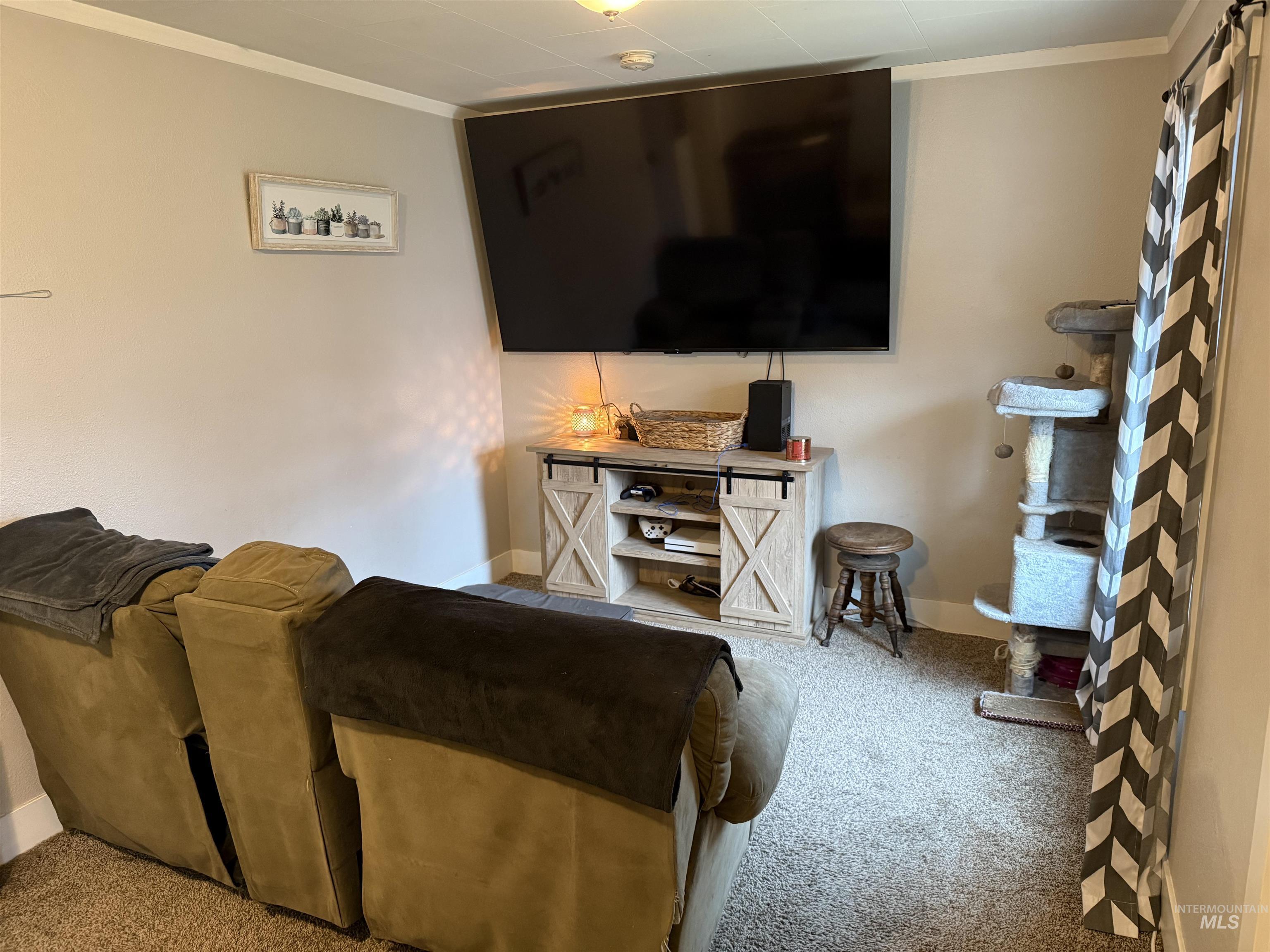 Carpeted living area featuring ornamental molding