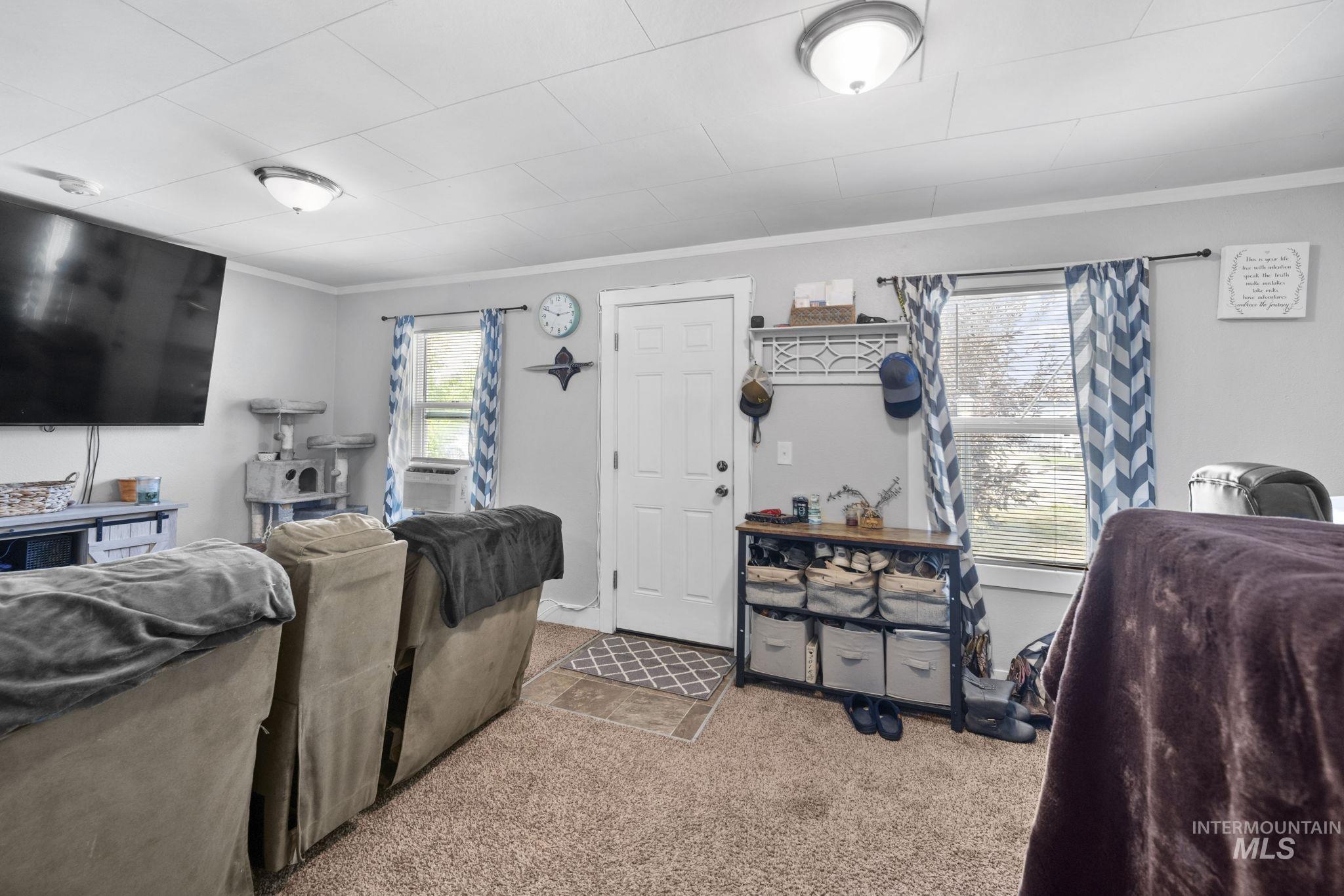 Living area featuring carpet and crown molding