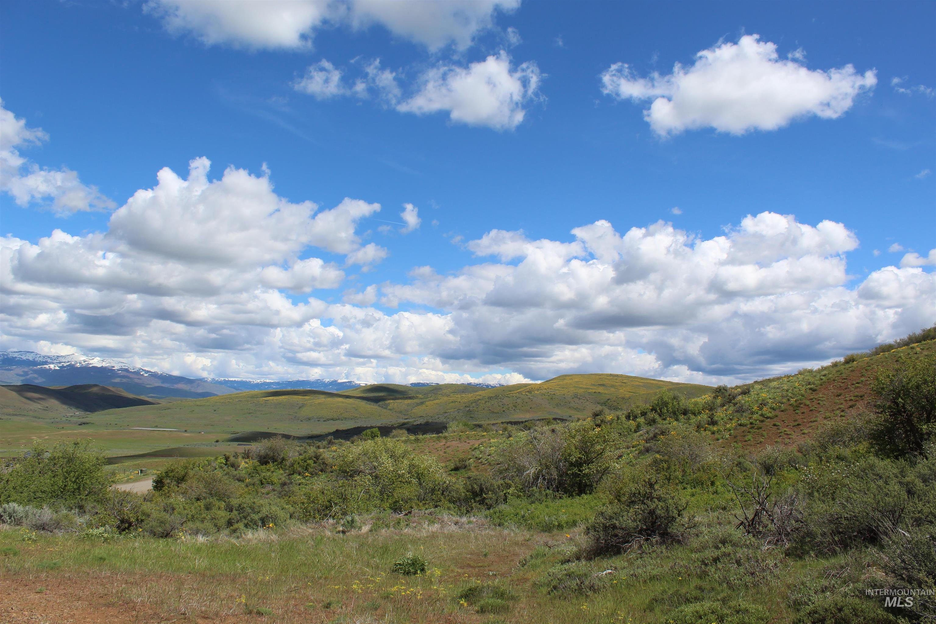 TBD Goodrich Road, Council, Idaho image 9