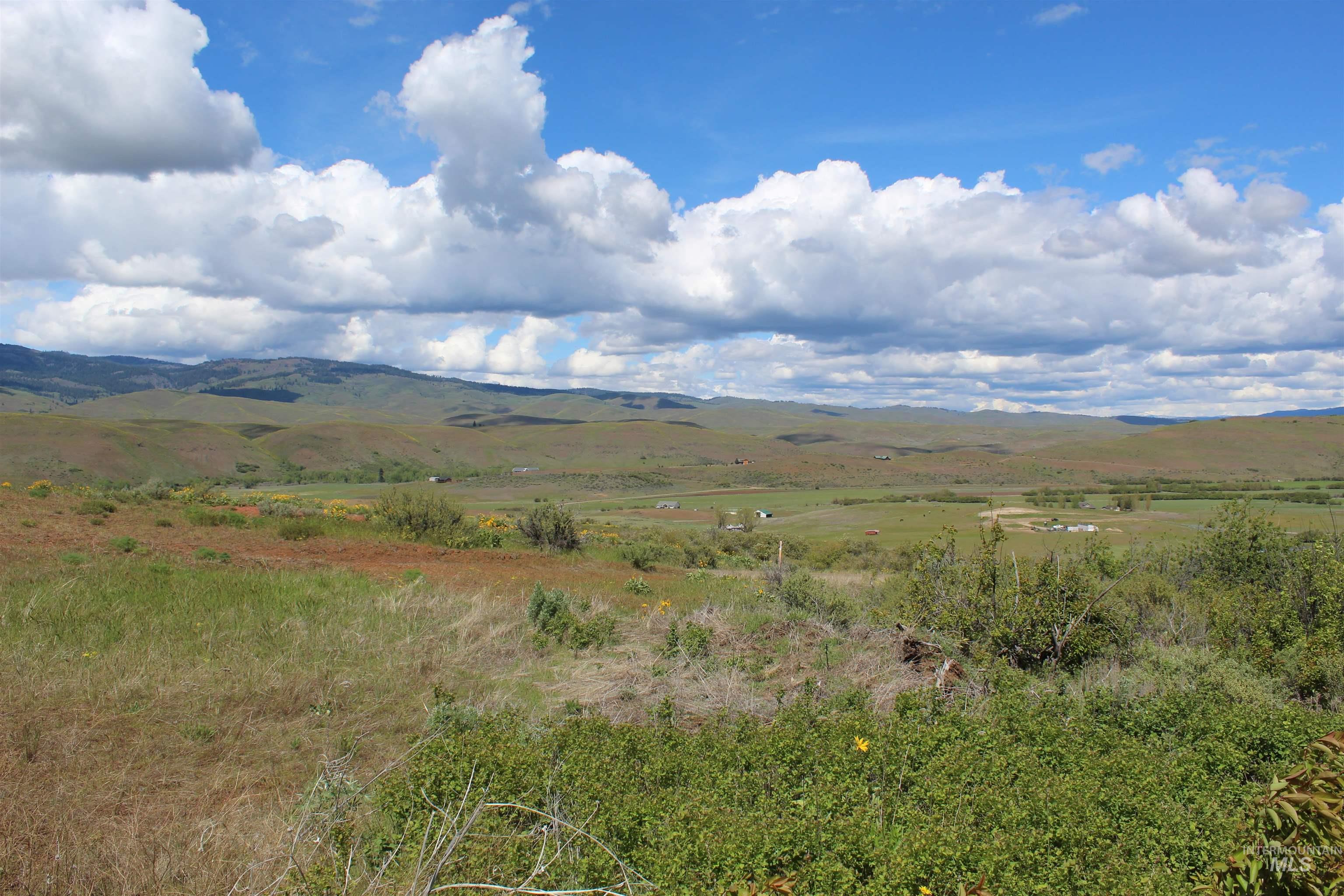 TBD Goodrich Road, Council, Idaho image 13