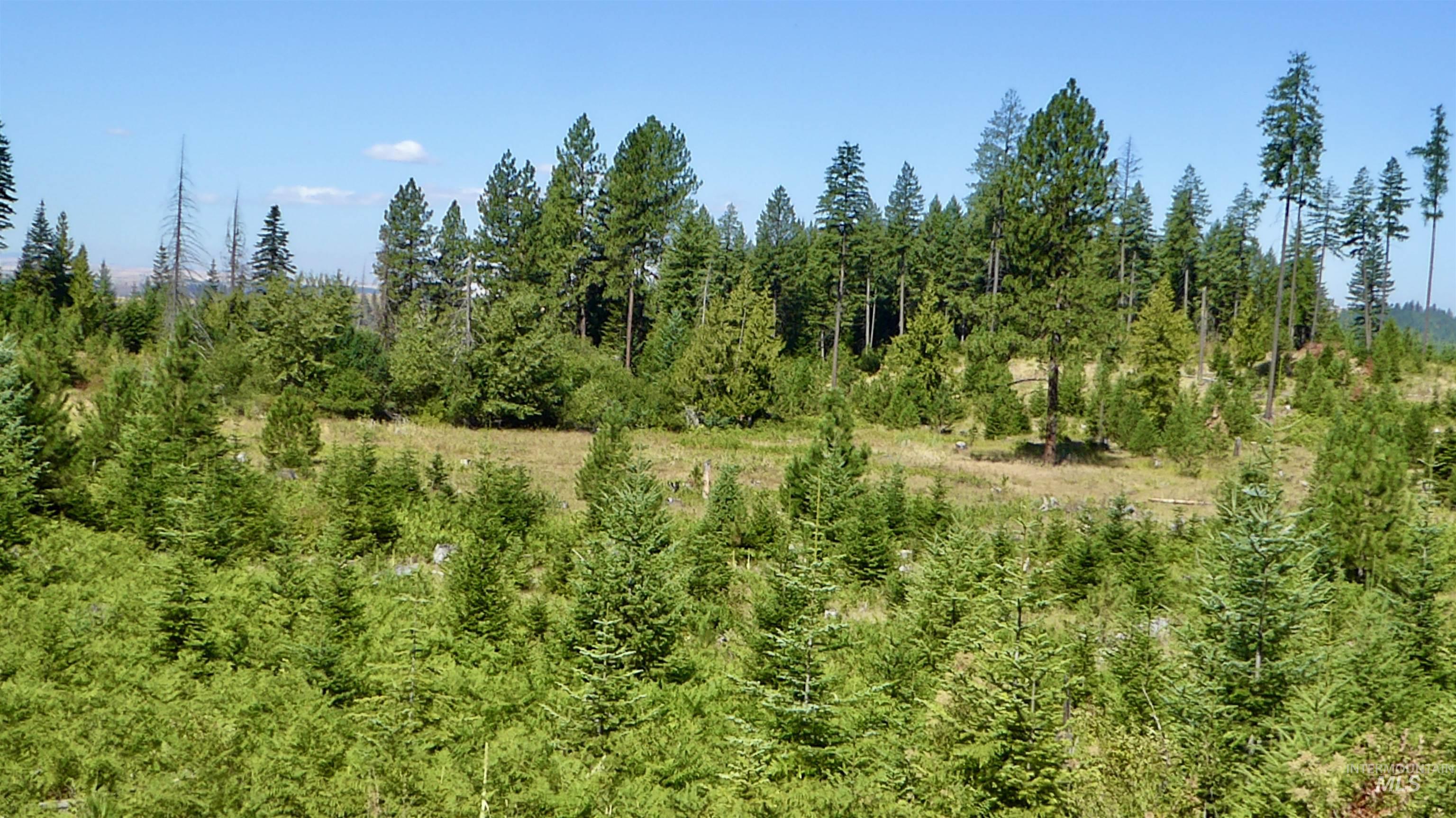TBD Peaceful Valley Rd Lots 7 & 8