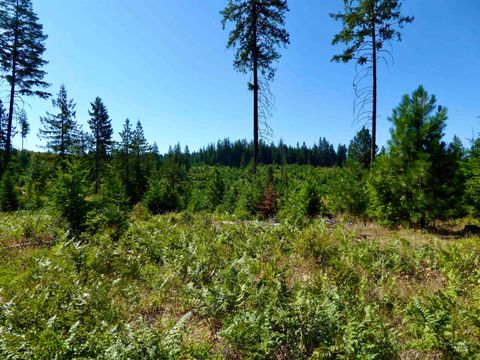 TBD Peaceful Valley Rd Lots 7 & 8 Kamiah ID 83536