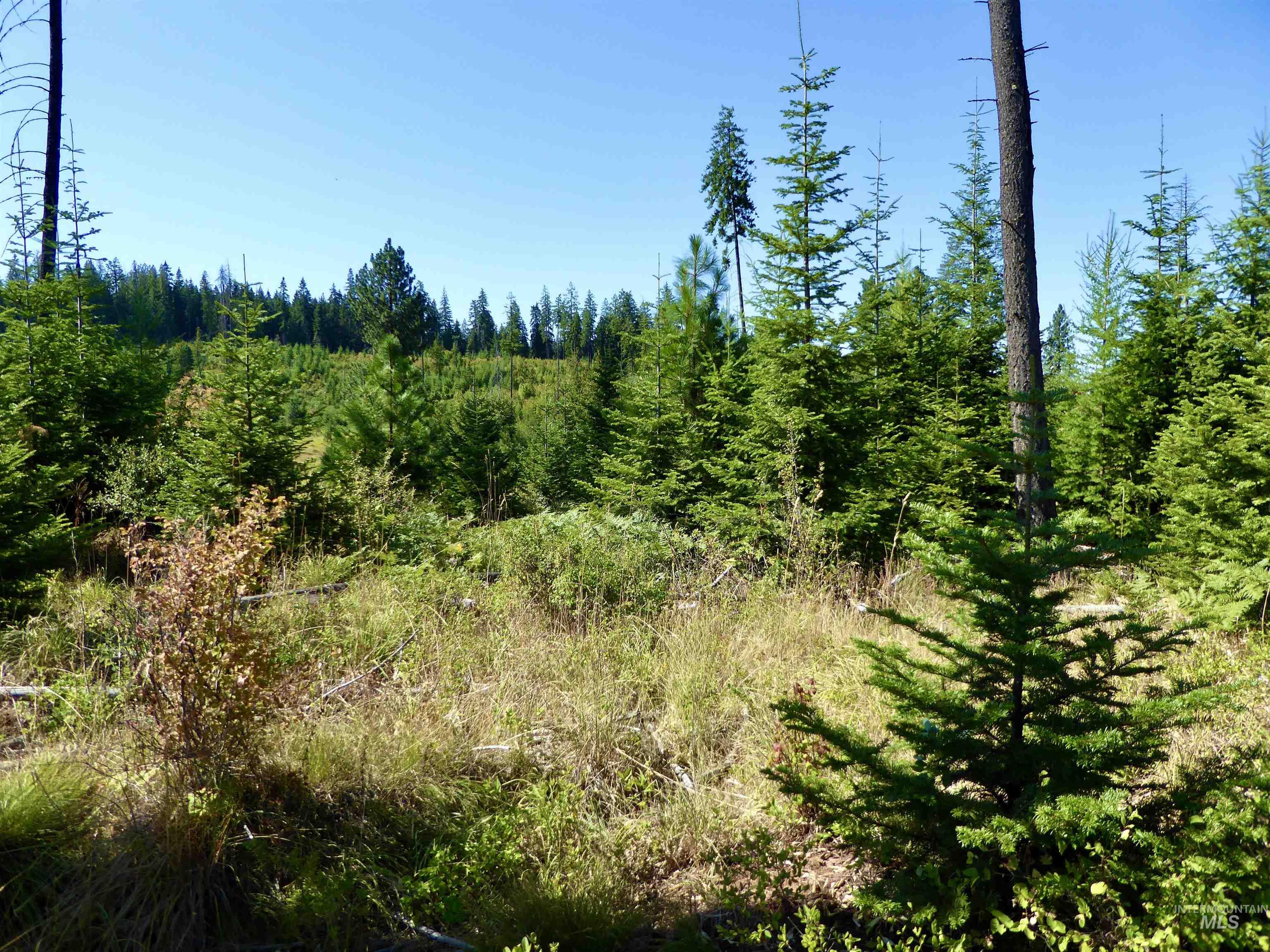 TBD Peaceful Valley Rd Lots 7 & 8