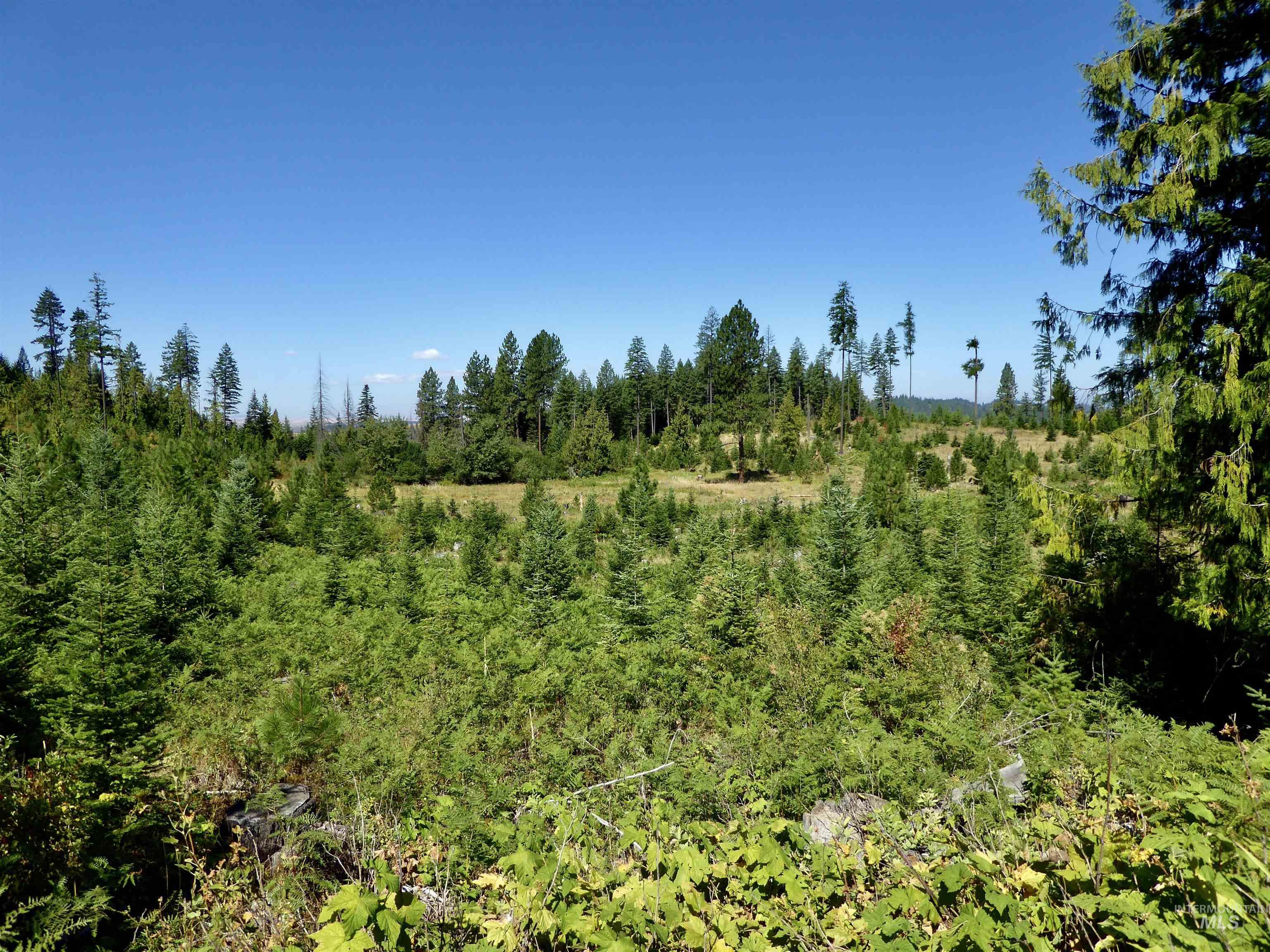 TBD Peaceful Valley Rd Lots 7 & 8