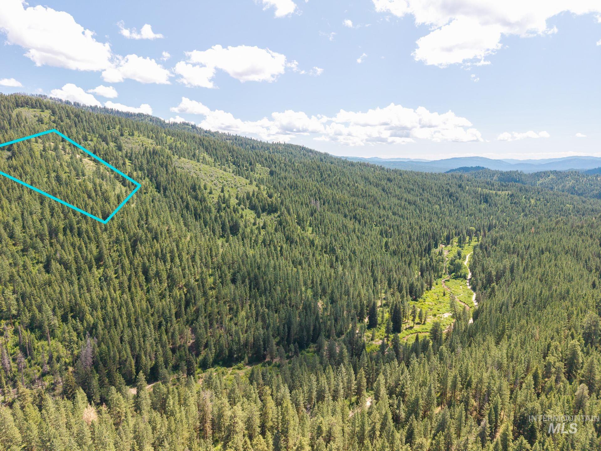 Aerial view of property's location featuring a heavily wooded area and property boundaries highlighted