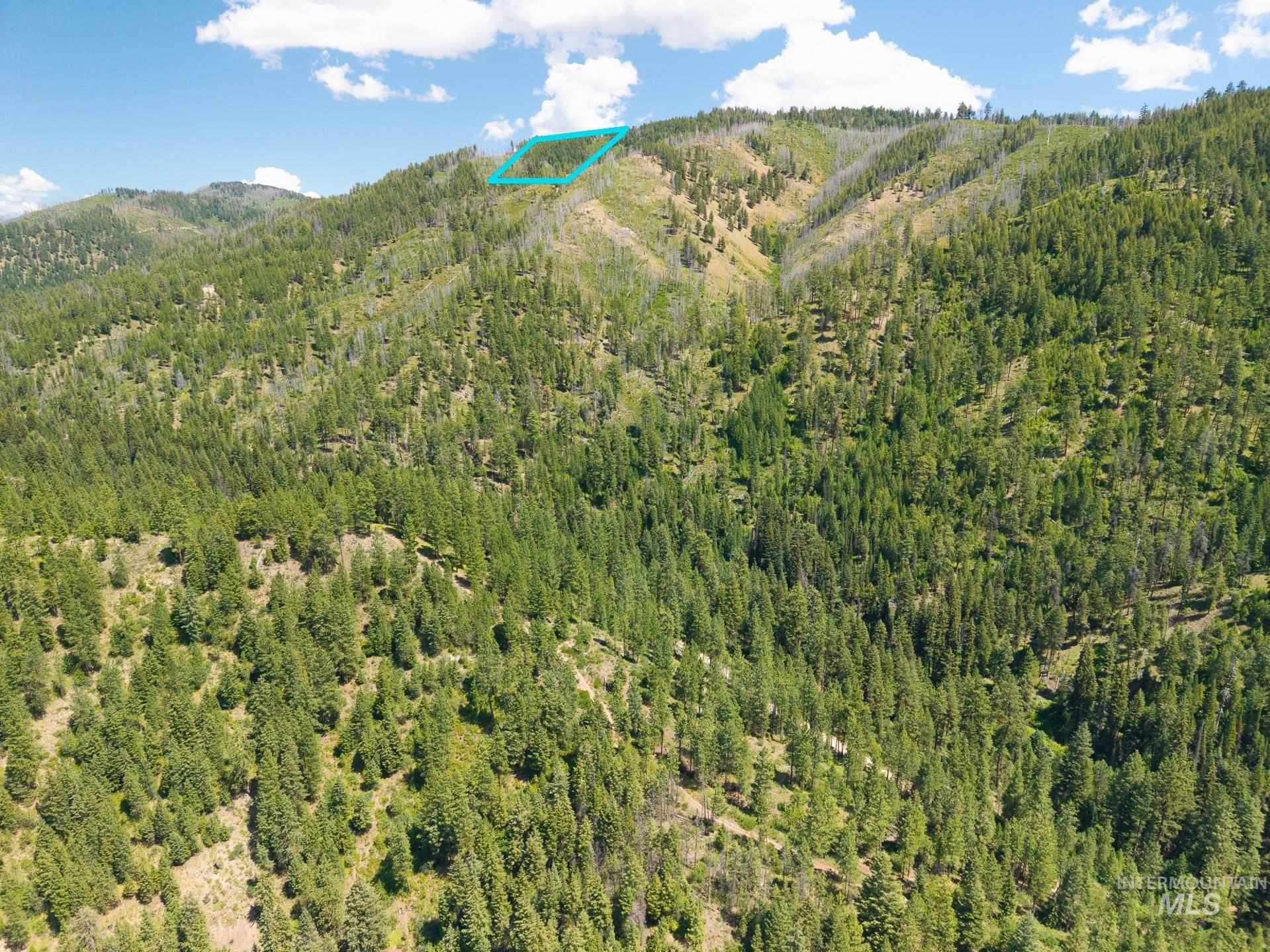 View of mountain backdrop with a heavily wooded area