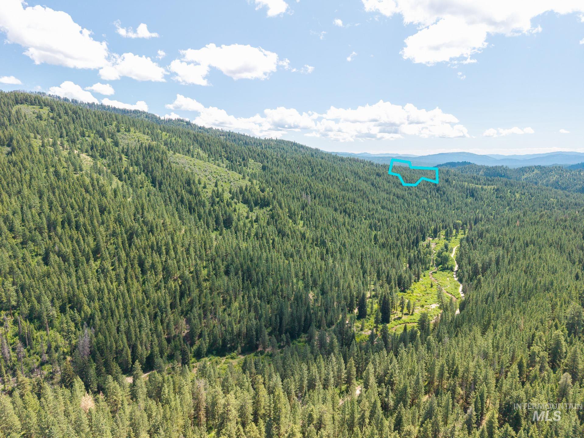 Mountain view featuring a heavily wooded area