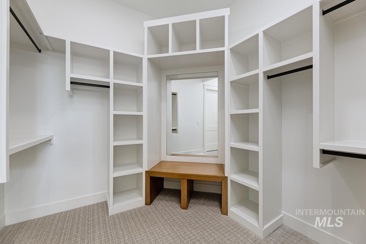 Walk in closet with light colored carpet