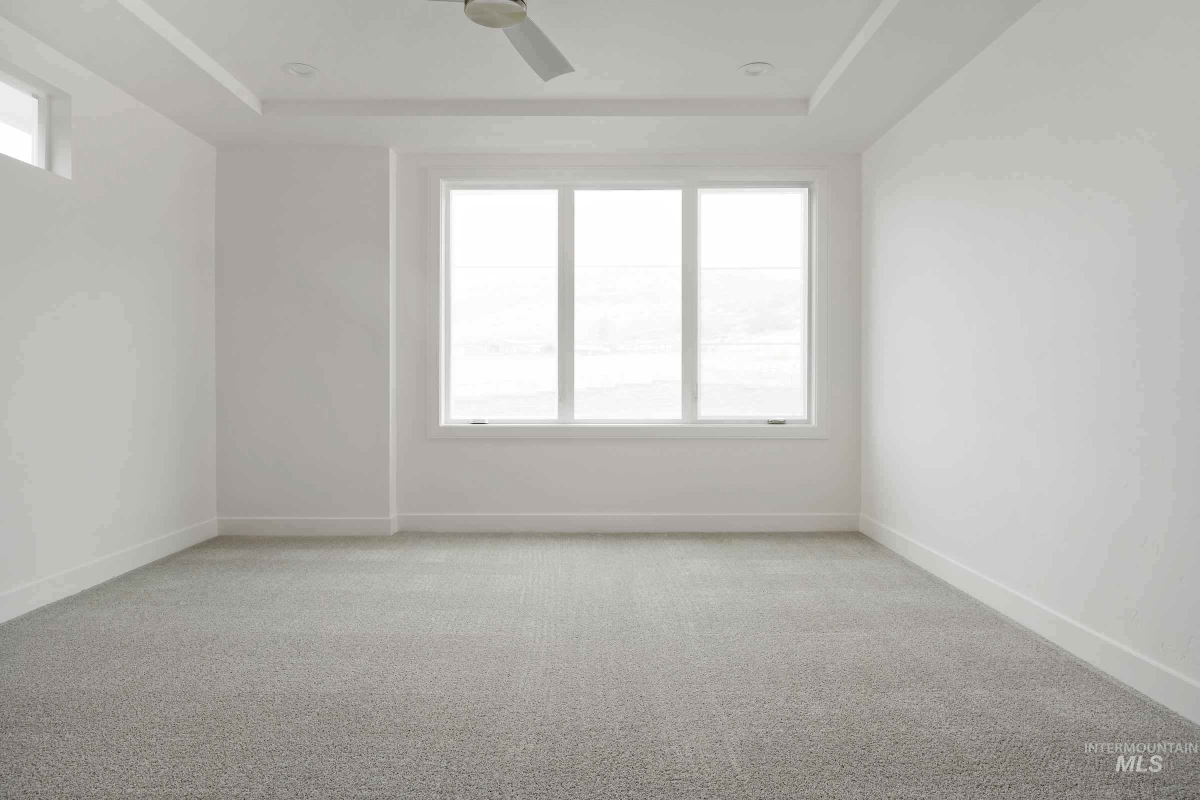 Unfurnished room with healthy amount of natural light, light carpet, and a tray ceiling