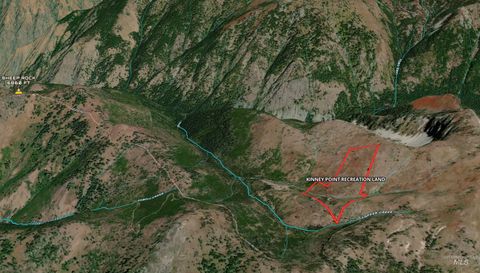Photo of 0 Nat'l Forest Development Rd 493, Council, ID 83612 (MLS # 98987020)