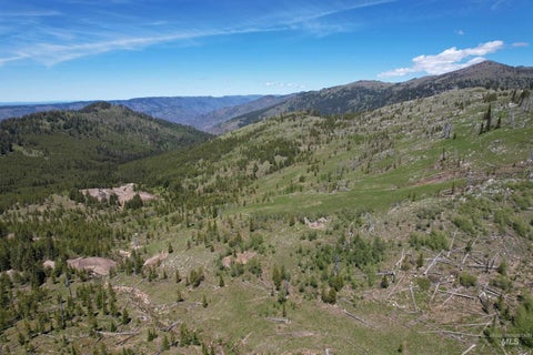Photo of 0 Nat'l Forest Develop Road 493, Council, ID 83612 (MLS # 98987020)