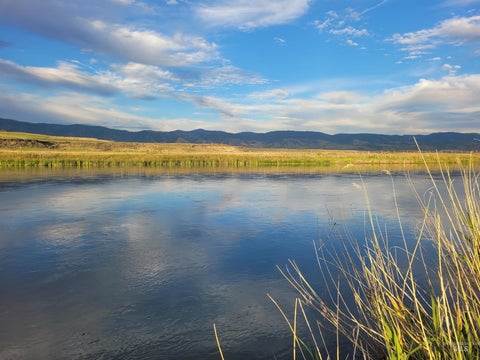 Photo of 392 River Rd, Grace, ID 83241 (MLS # 98993990)