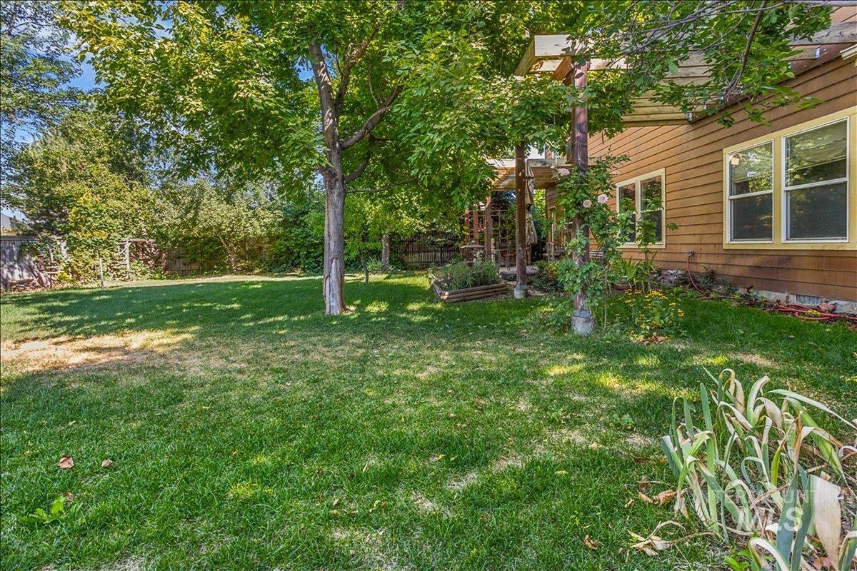 View of fenced backyard