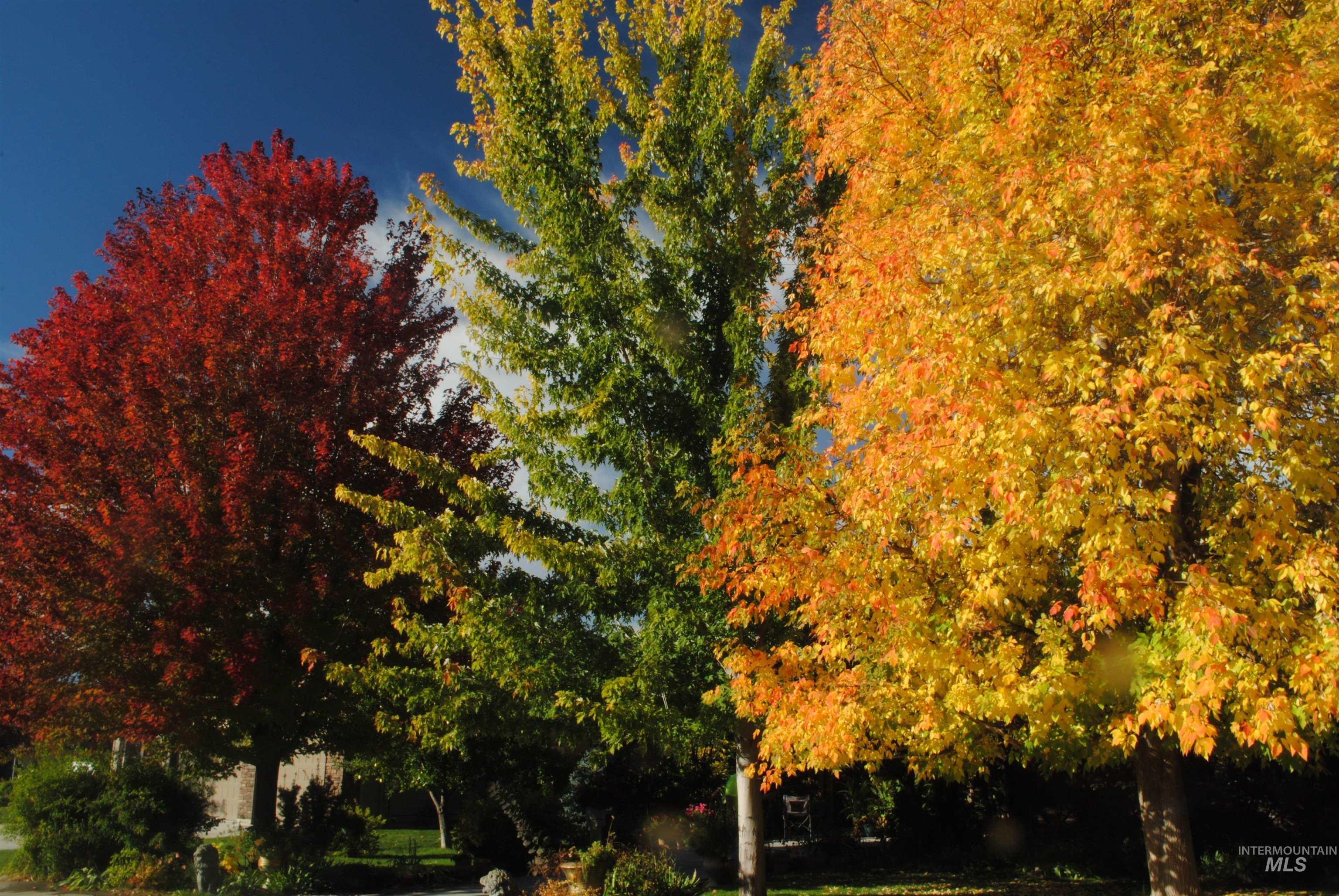 Surrounding community